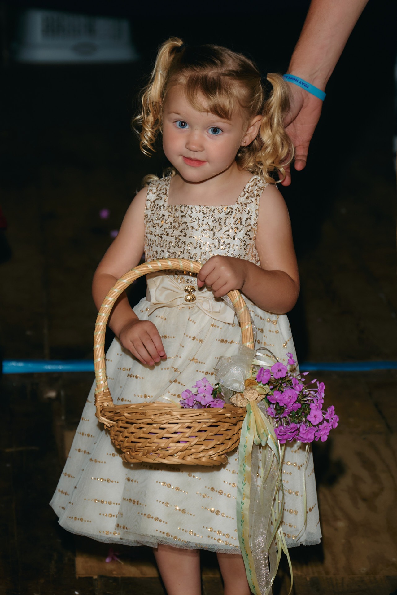 a little flower girl in a dress with a basket holding flowers