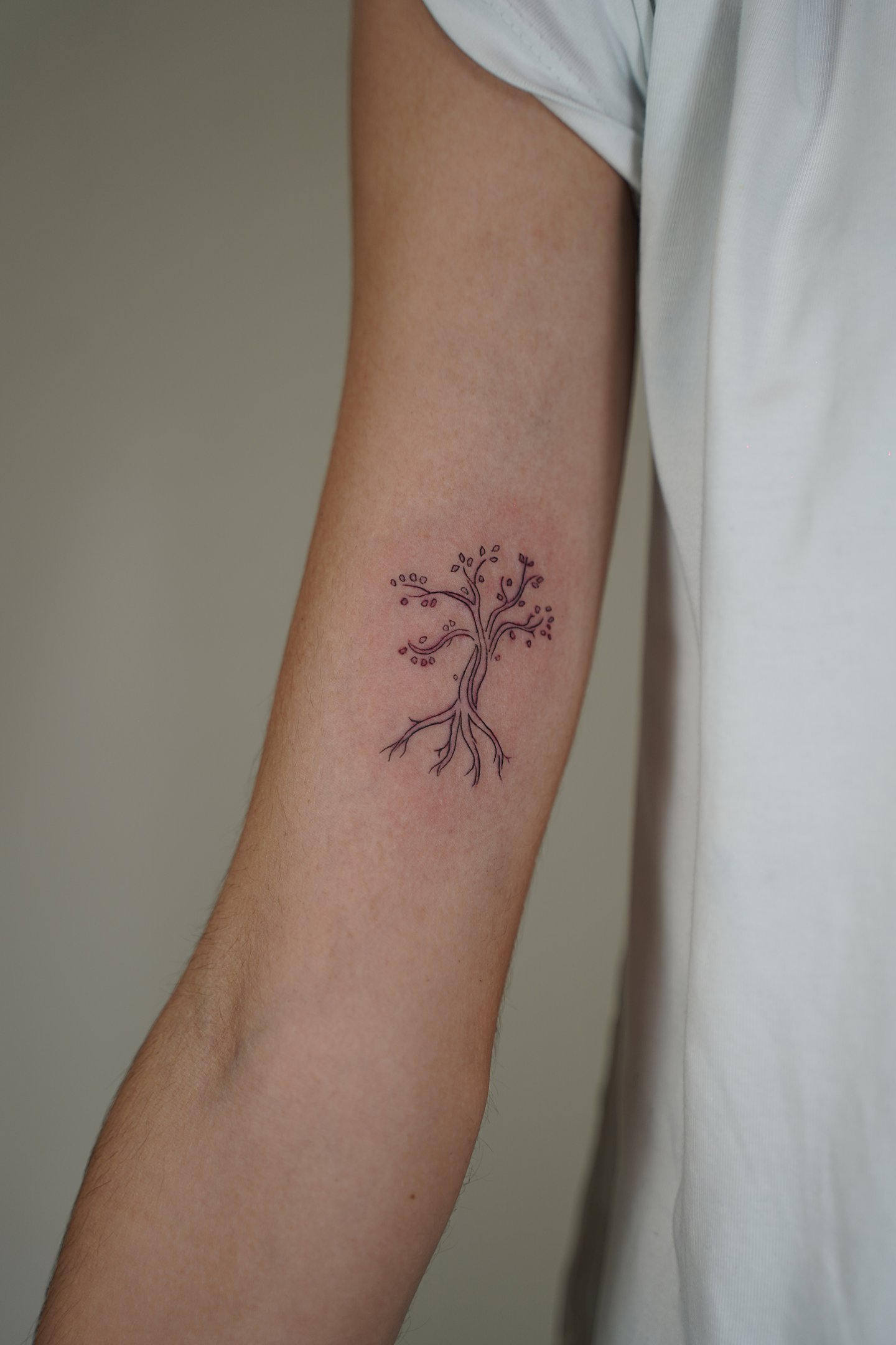 Tatuaje fineline en Madrid de árbol de la vida con raíces y ramas detalladas en trazo fino en el ant