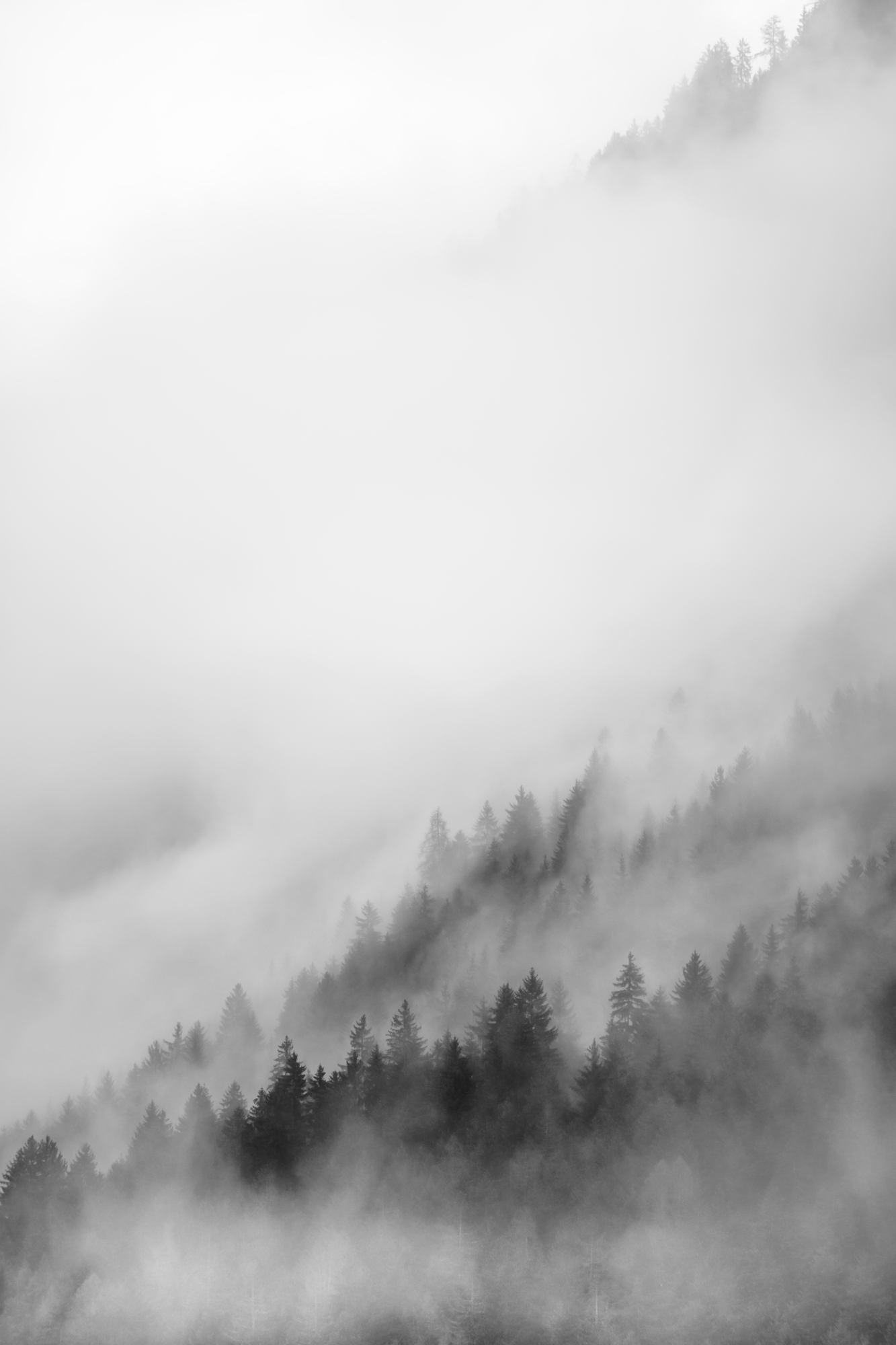 photography / james murray / triol / schlick2000 / events / social media / innsbruck / portraits