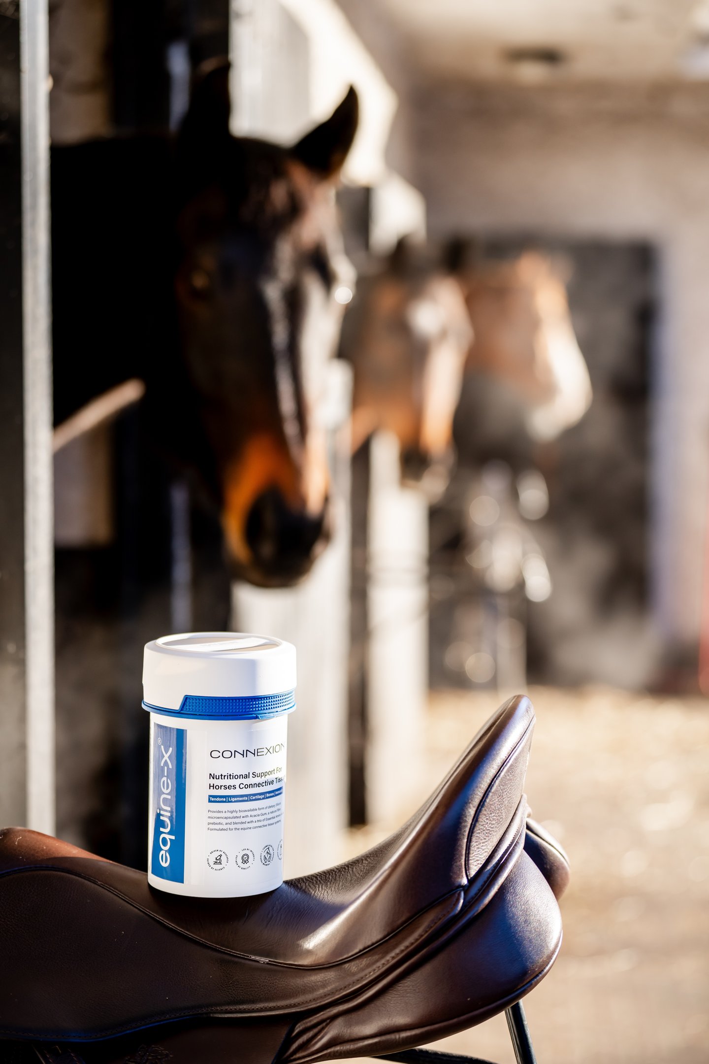 Horses in stables looking at a tub of connexion, a horse supplement for connective tissues