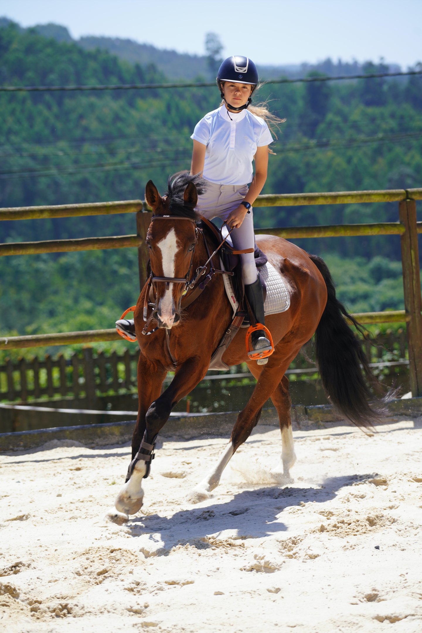conexión con caballos