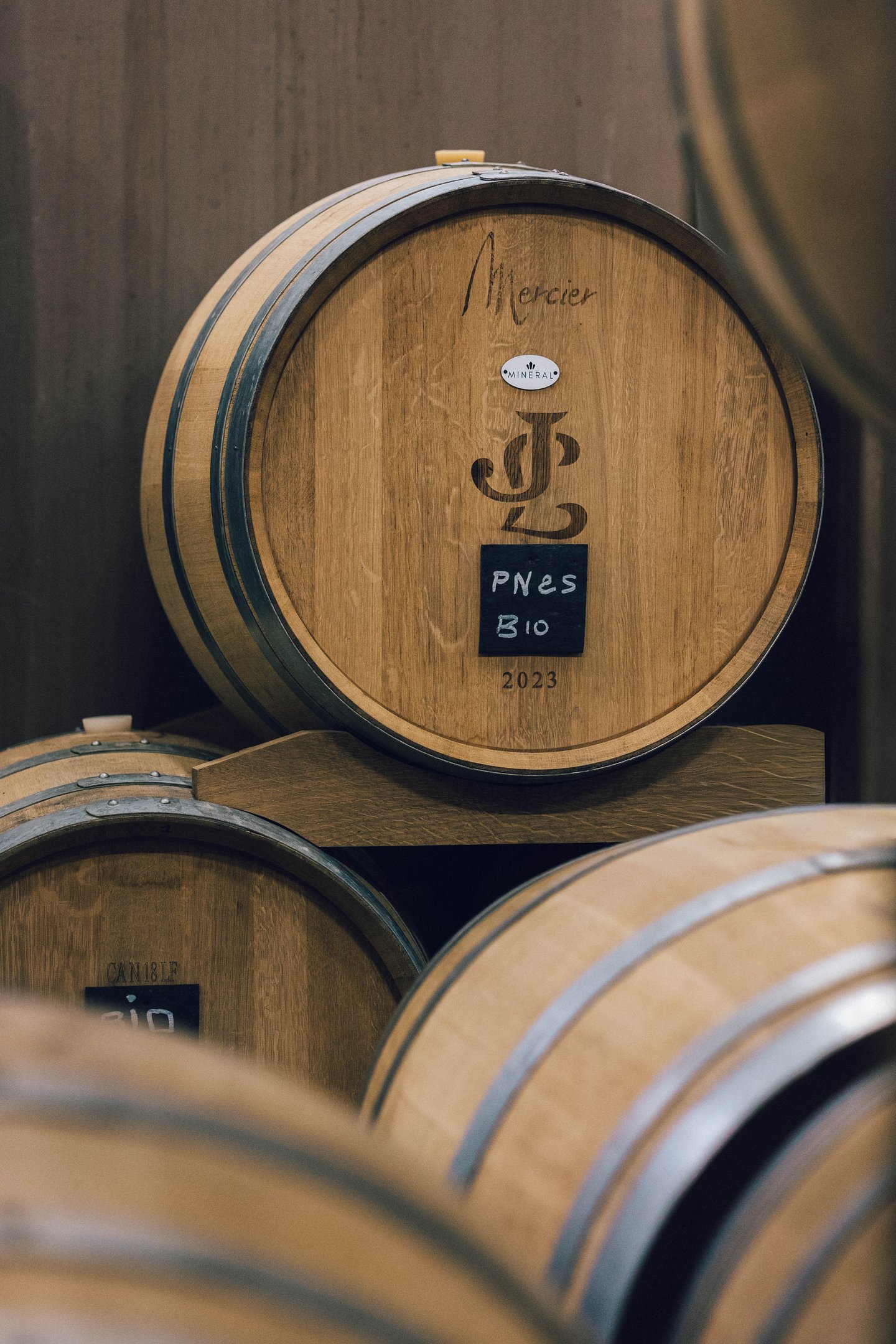 Fût de Chêne, Champagne, Pinot Noir 2025