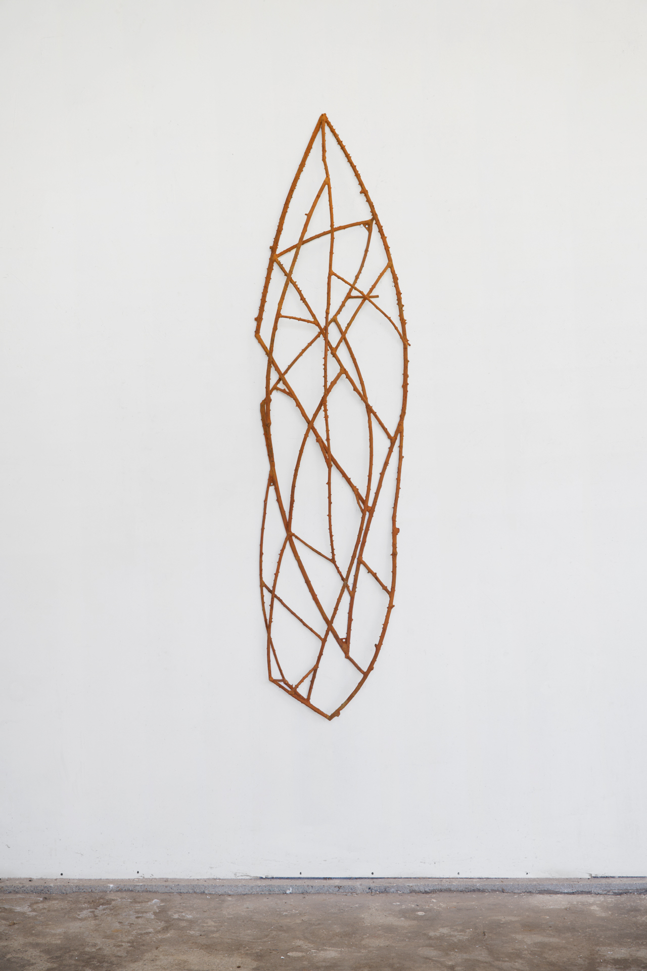 Roncier, 2022 ©Vincent Barré