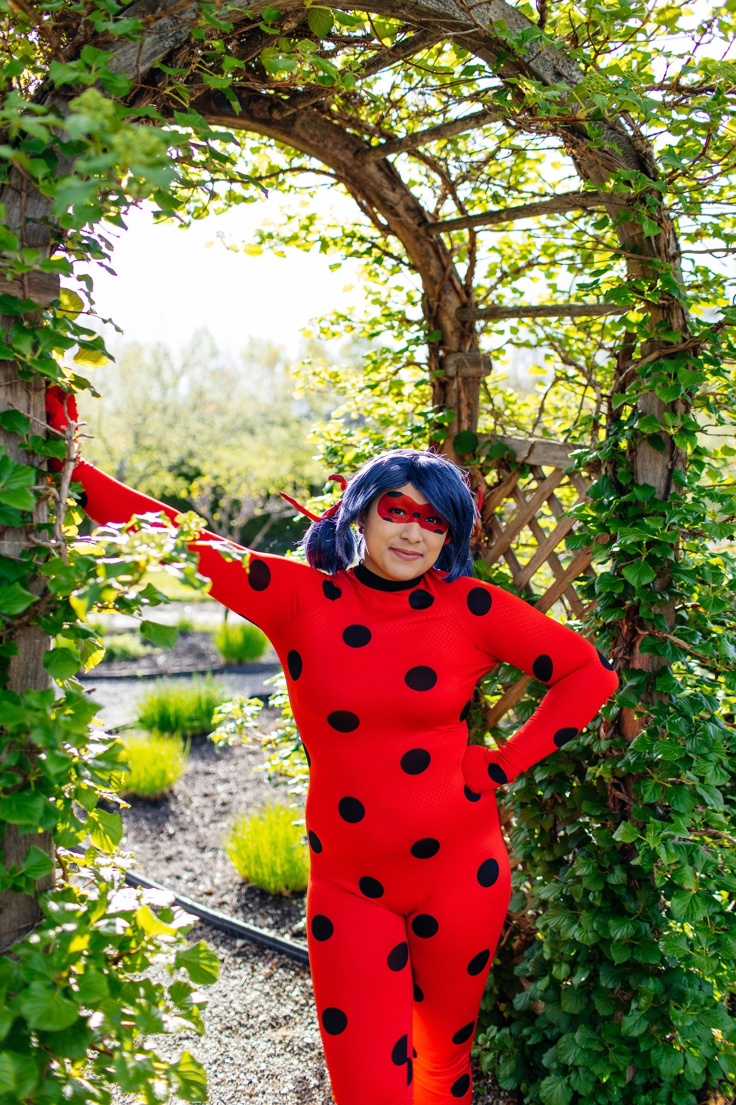 Ladybug