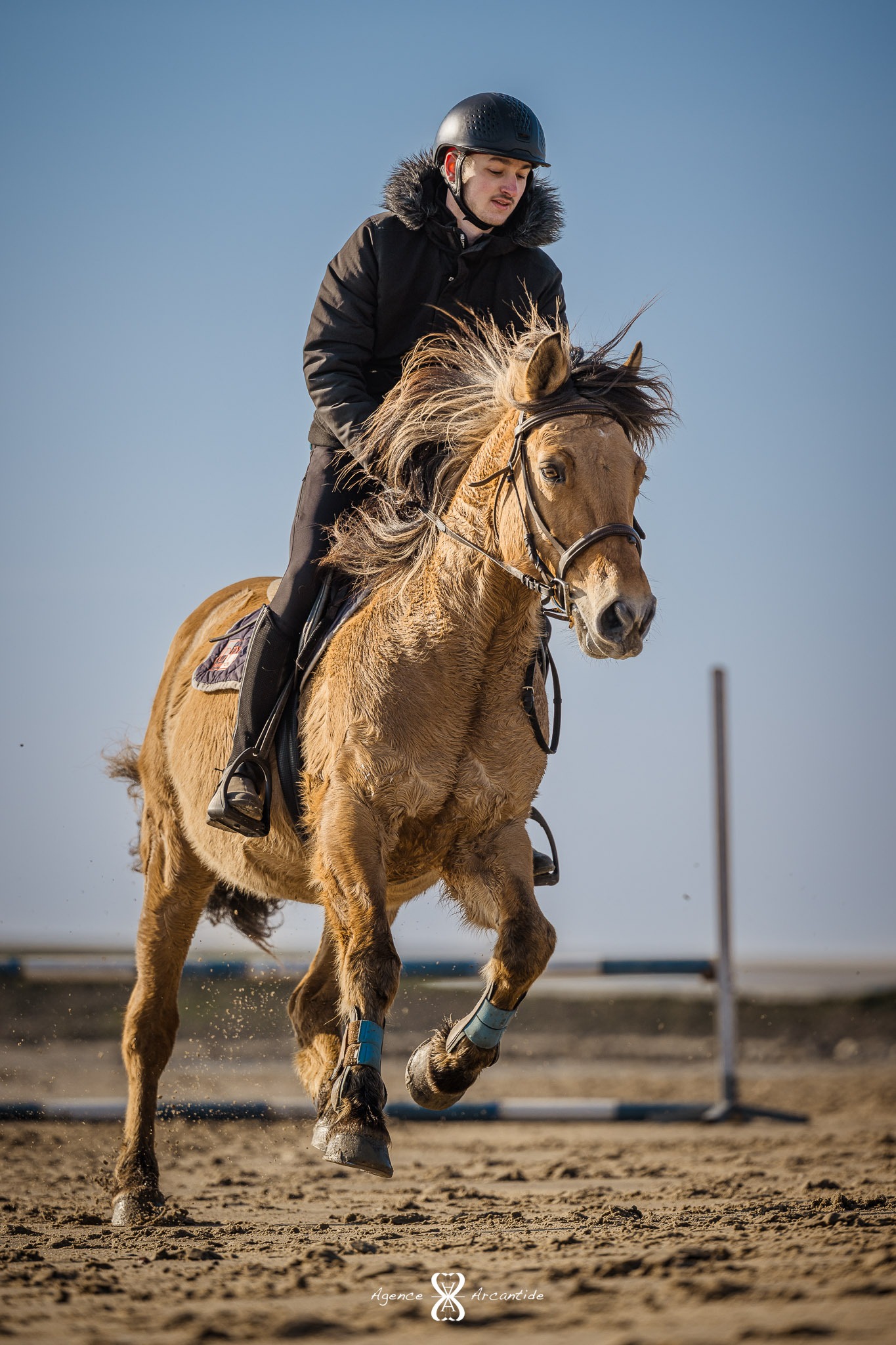 Equitation
