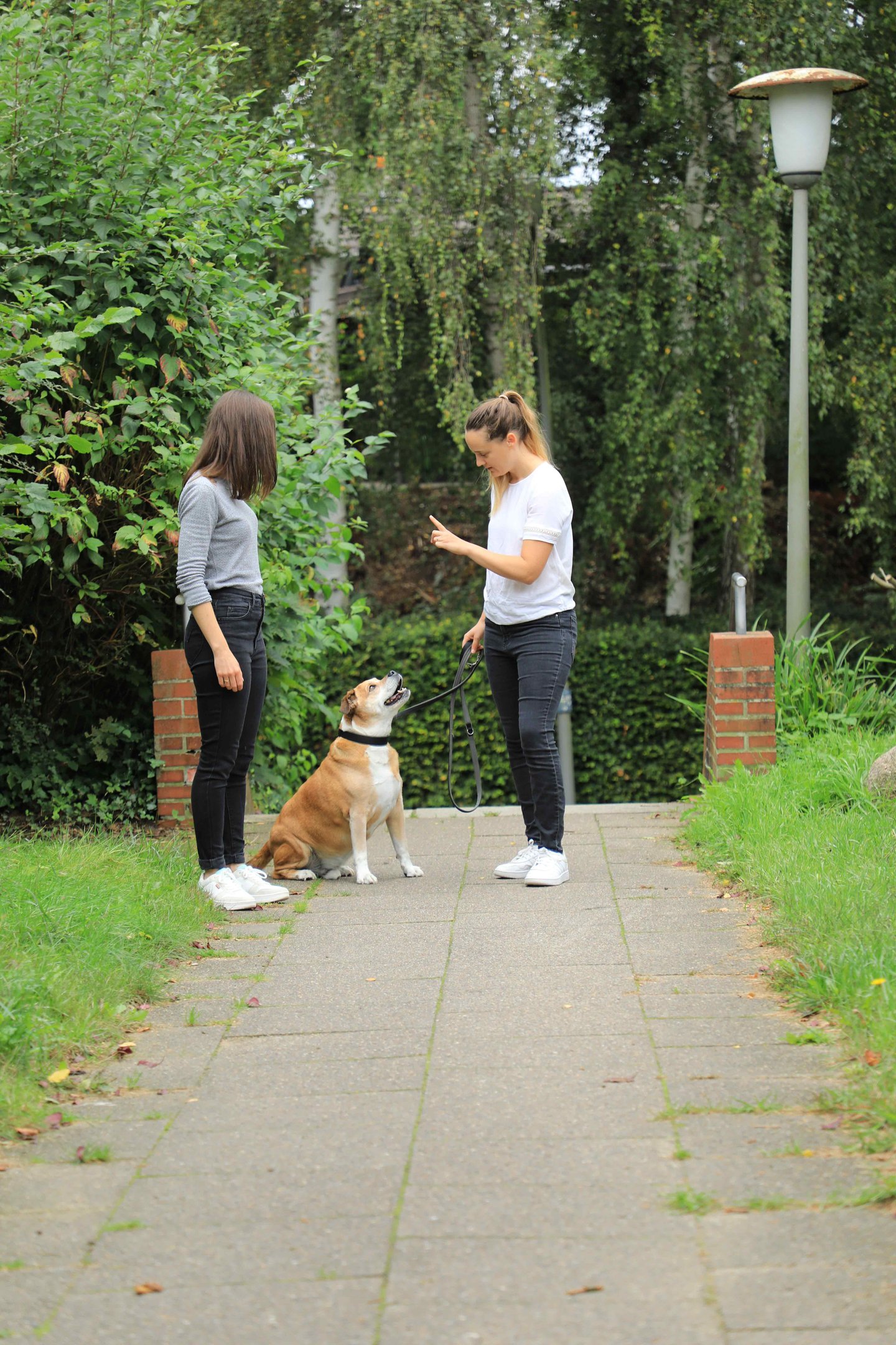 Hundetrainerin begleitet Mensch-Hund-Team beim Alltagstraining