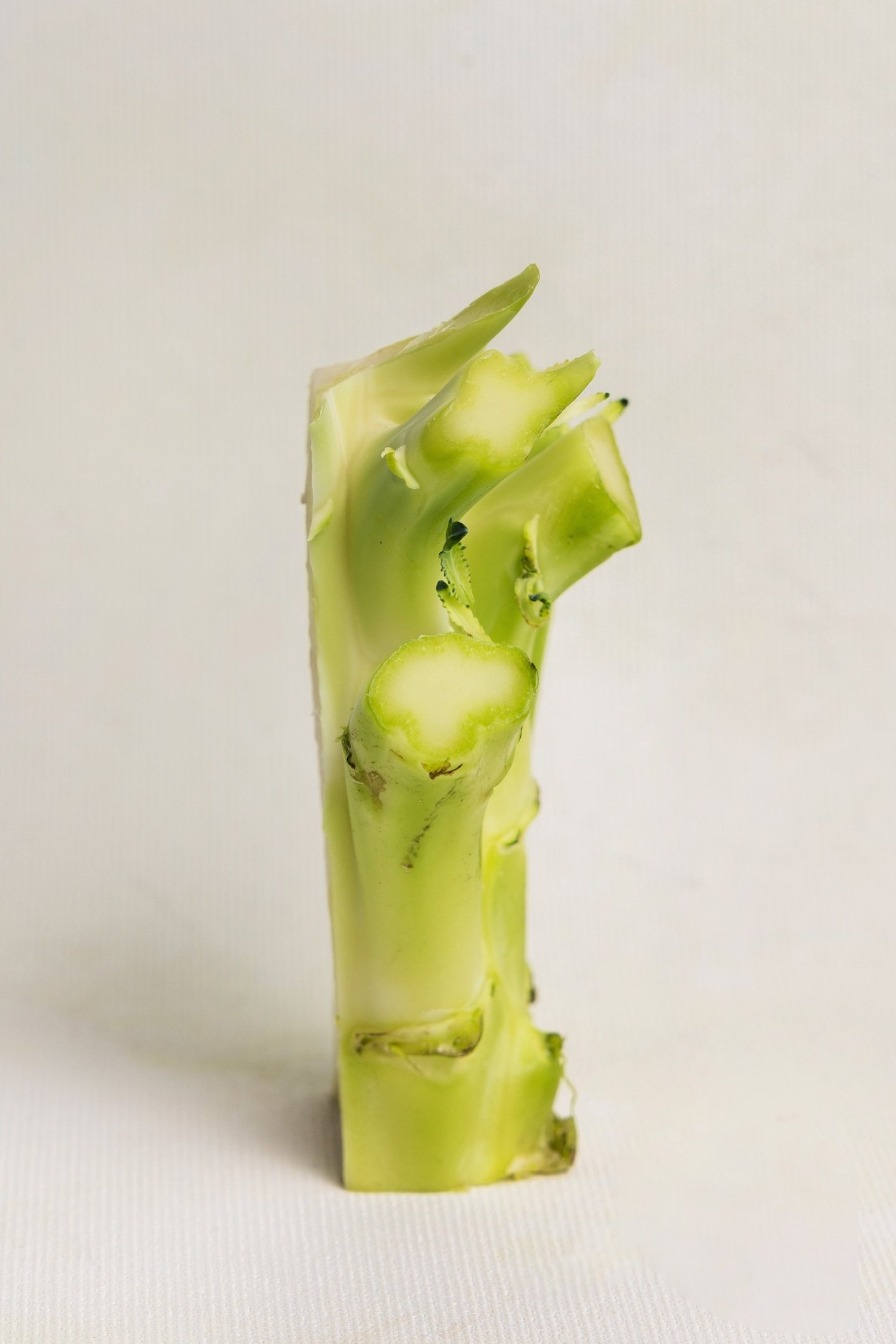 Broccoli stem