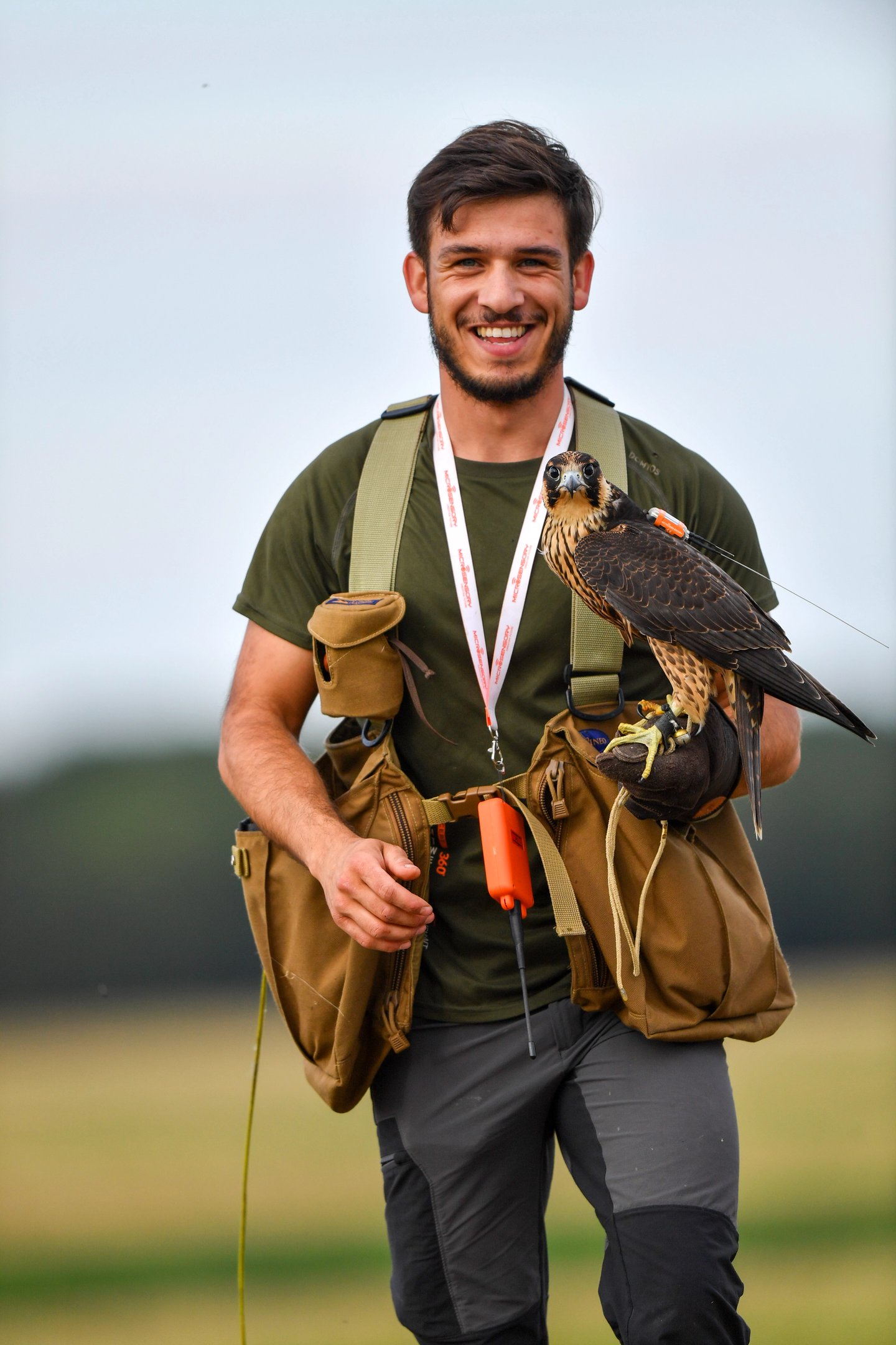 gérant de falco eco solutions