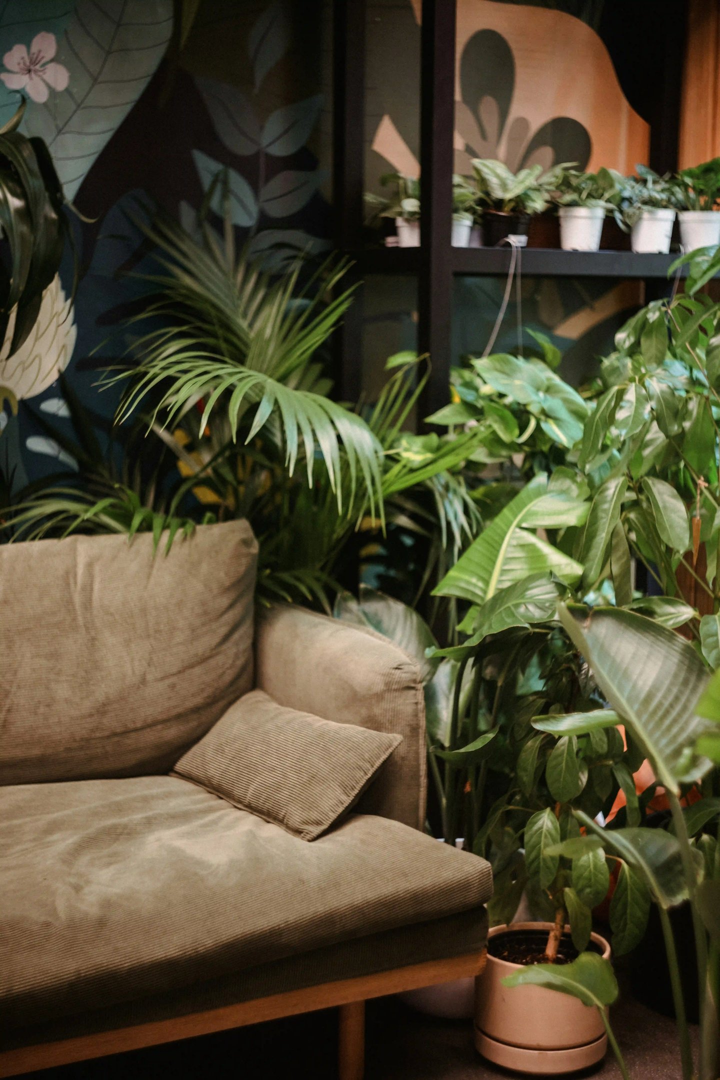Couch surrounded by lush plants symbolizing comfort and privacy, online psychological counseling