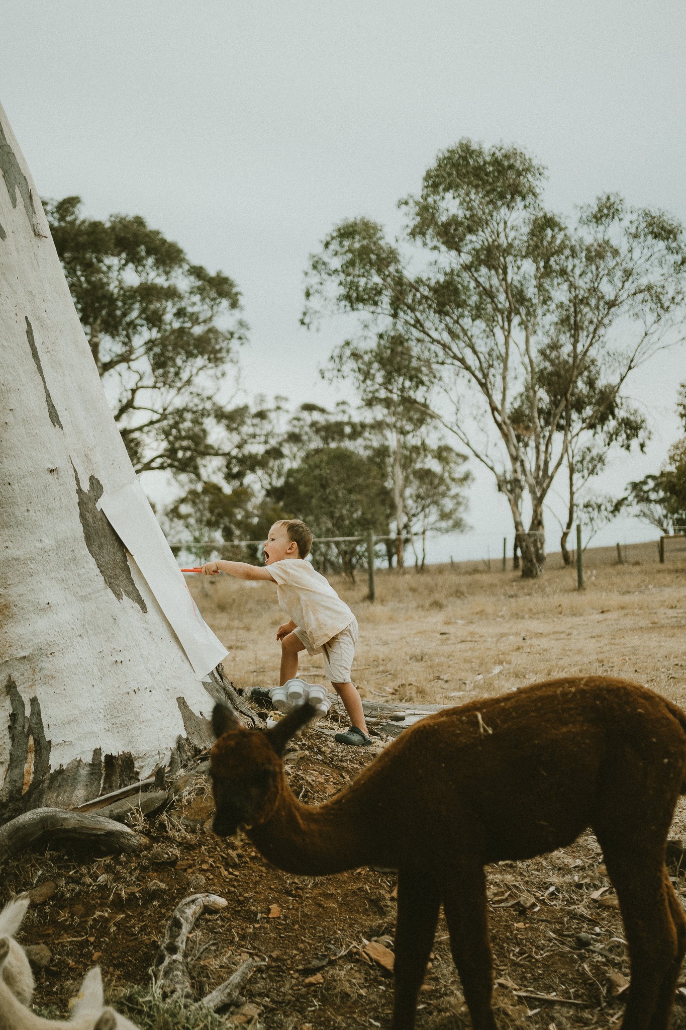 toddler painting in nature as part of a candid family session in Adelaide Hills