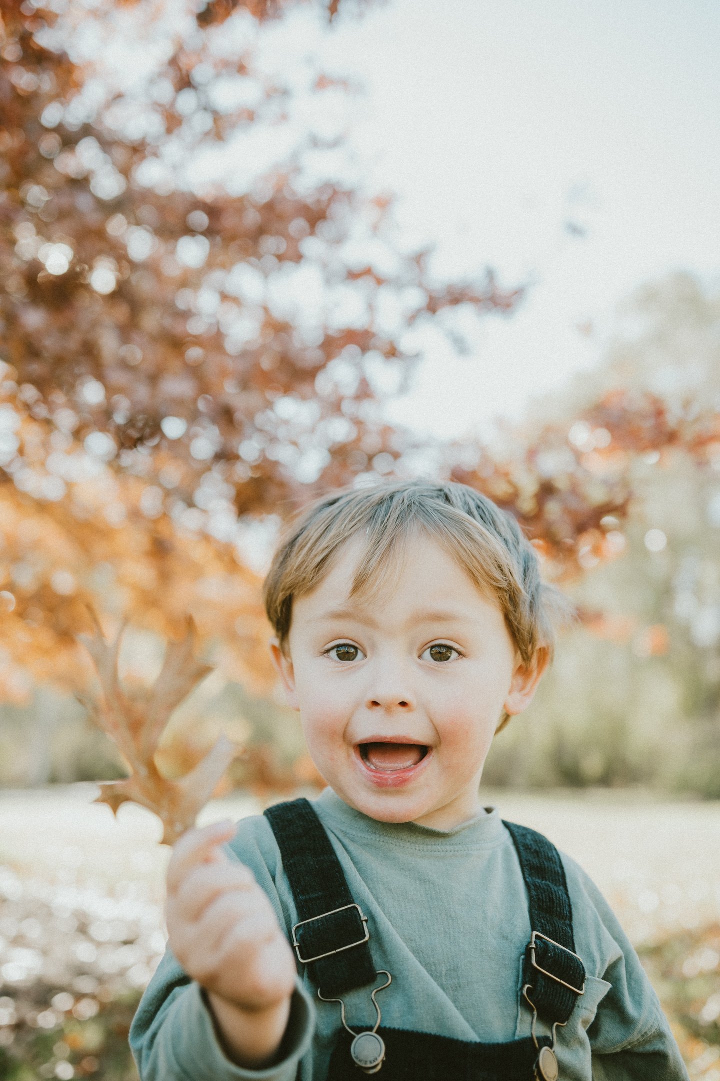 young boy showing autumn leaves in Adelaide Hills in a candid photo session