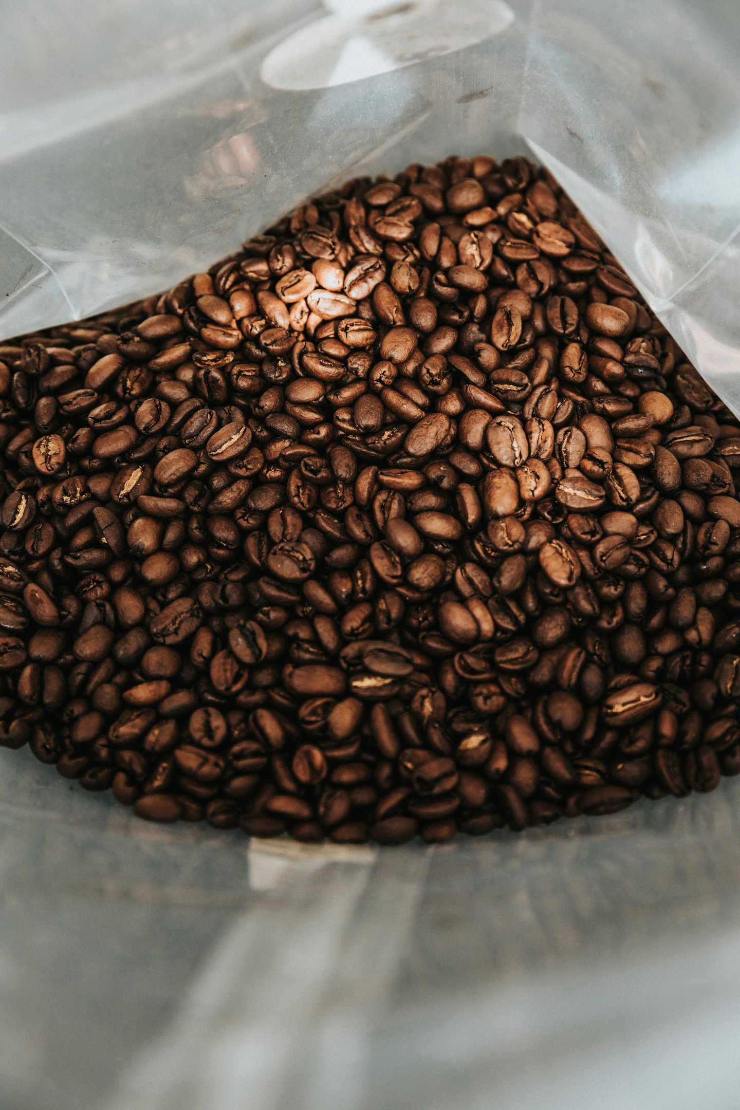 coffee beans in a bag