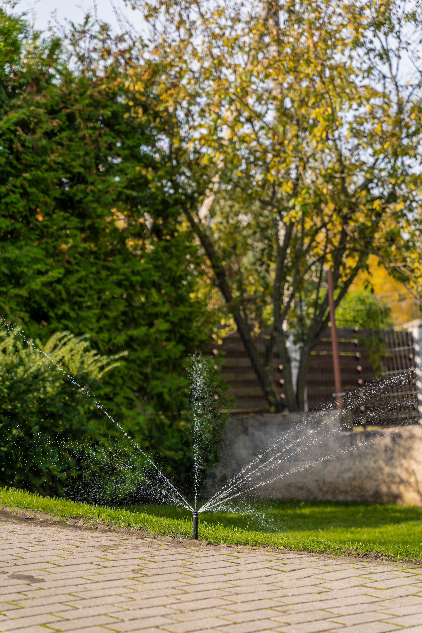 iššokantis vejos purkštukas MP rotator