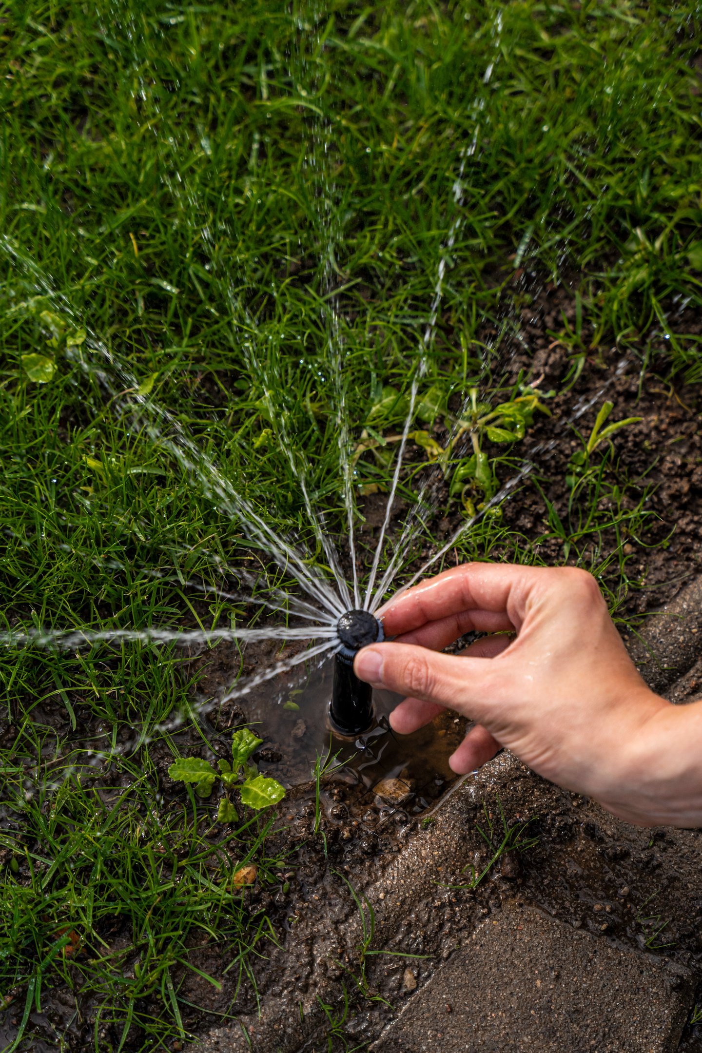 įrangos pasidaryk pats komplektavimas, iššokančių vejos purkštukų reguliavimas