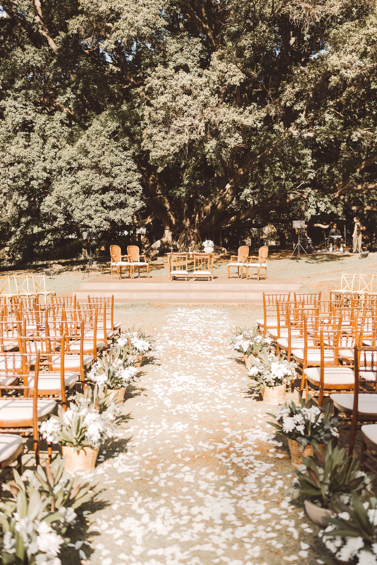 Decoração de cerimônia de casamento no Welluci Fontana em Sorocaba com cadeiras de madeira, caminho 