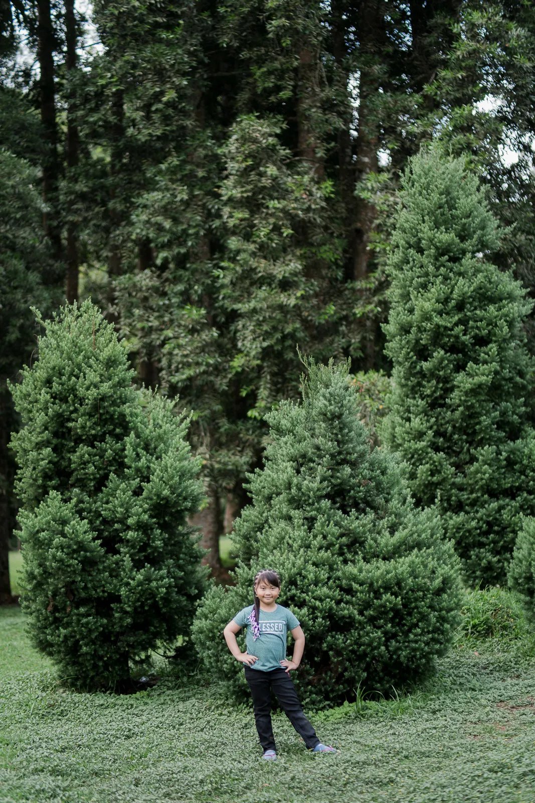 Boy portrait surrounded by pine trees during a Bedugul family photography session.