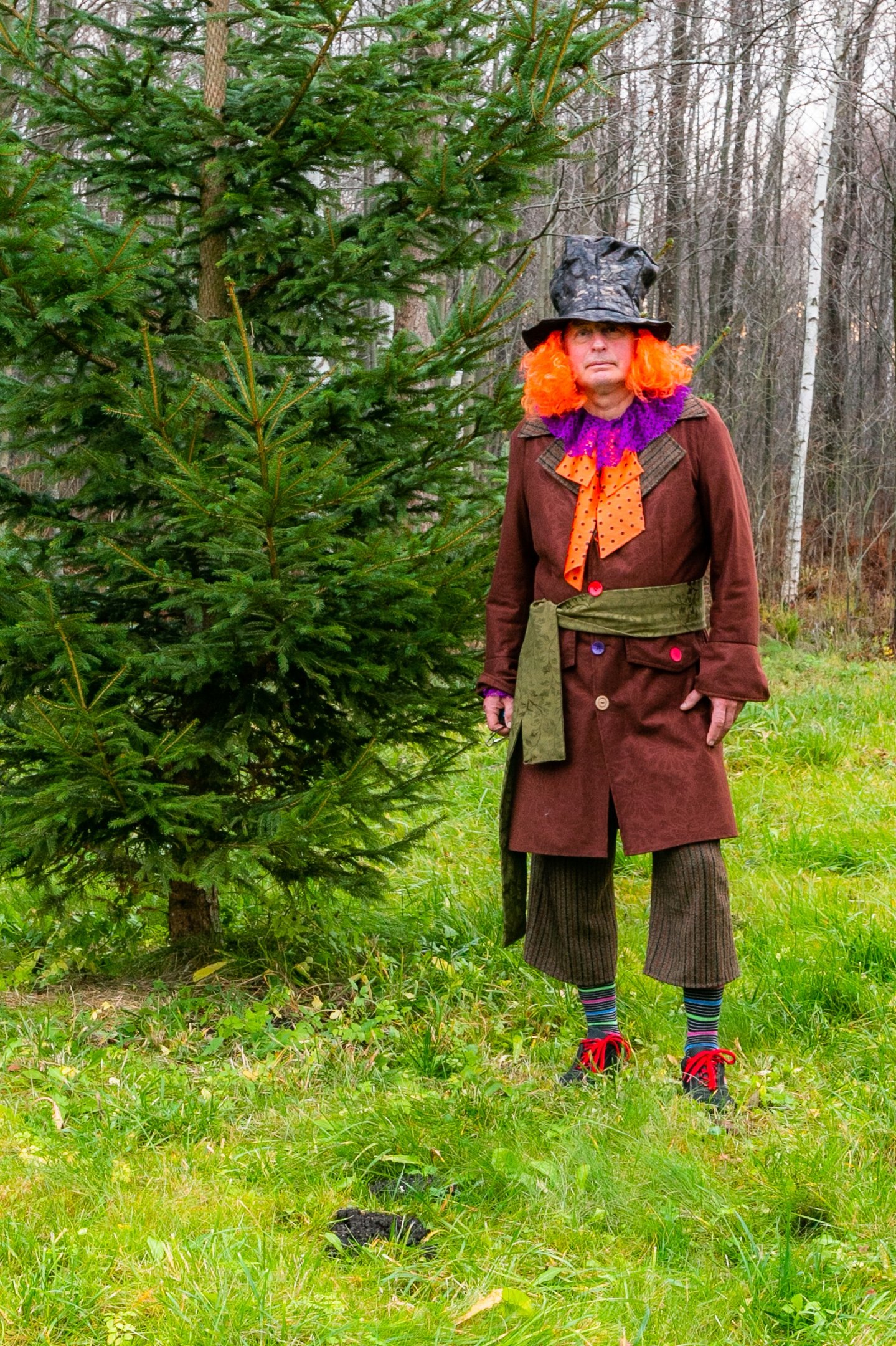 Skrybeliaus kostiumas Alisa Stebuklų Šalyje kostiumas