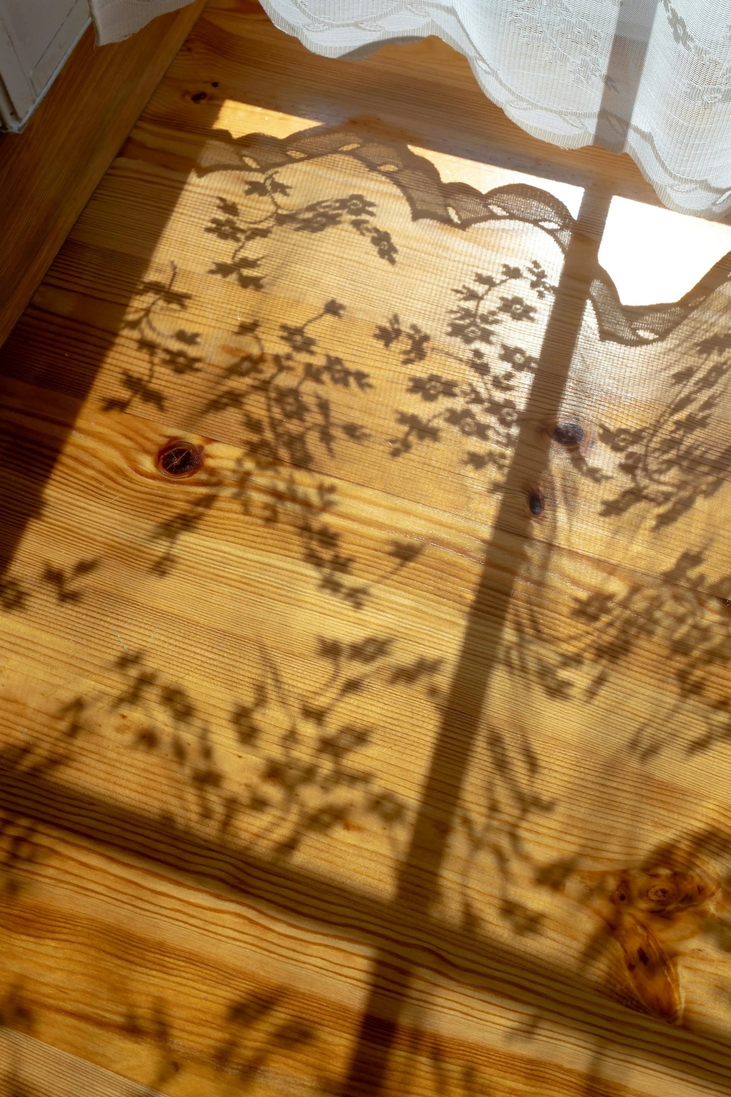 Soft sunlight casting curtain shadows, capturing Jahida's childhood memory of magical sunlit dust.