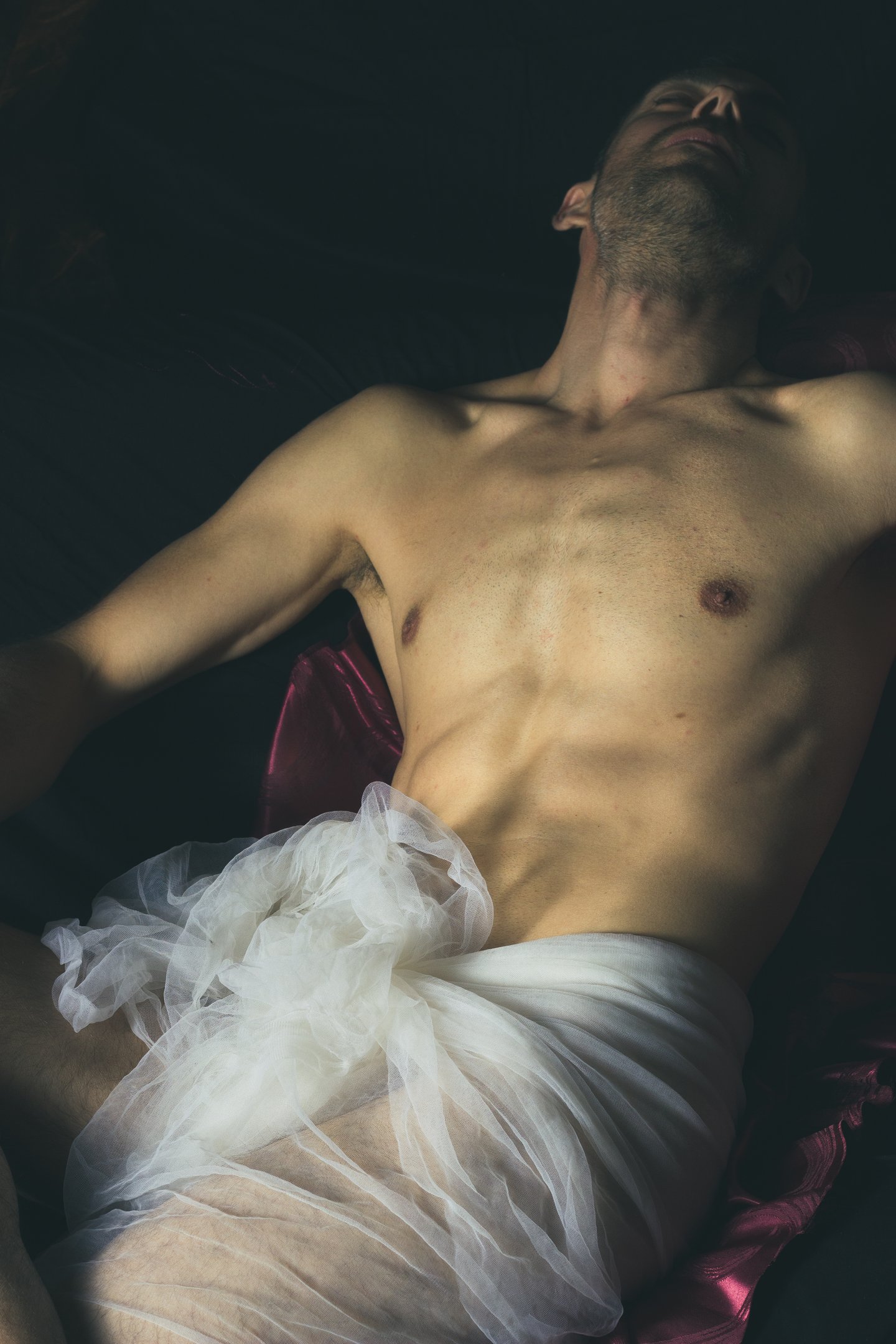 photo de poitrine homme style tableau