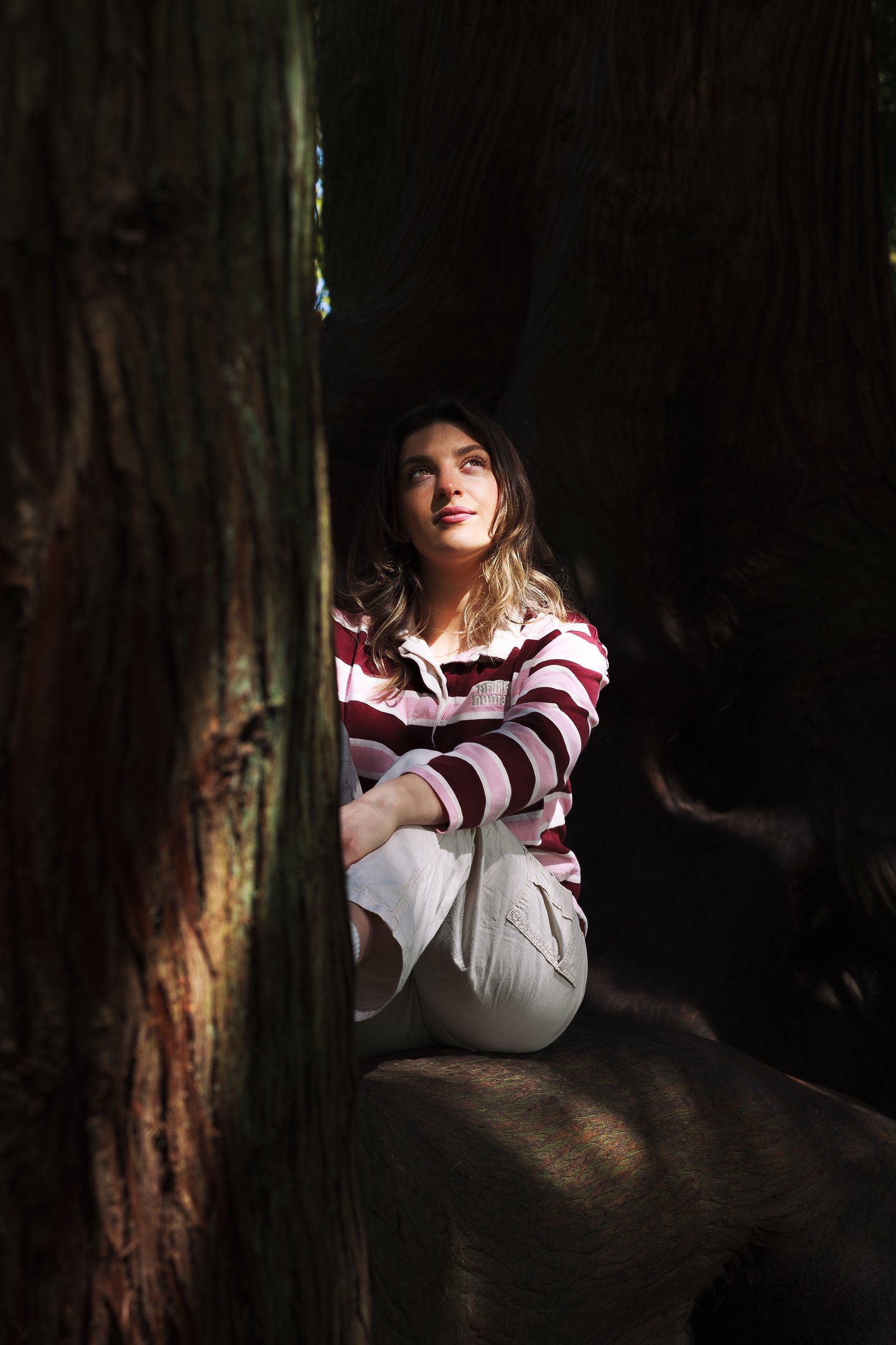 Fine art portrait of a young woman looking toward the light in a cinematic style
