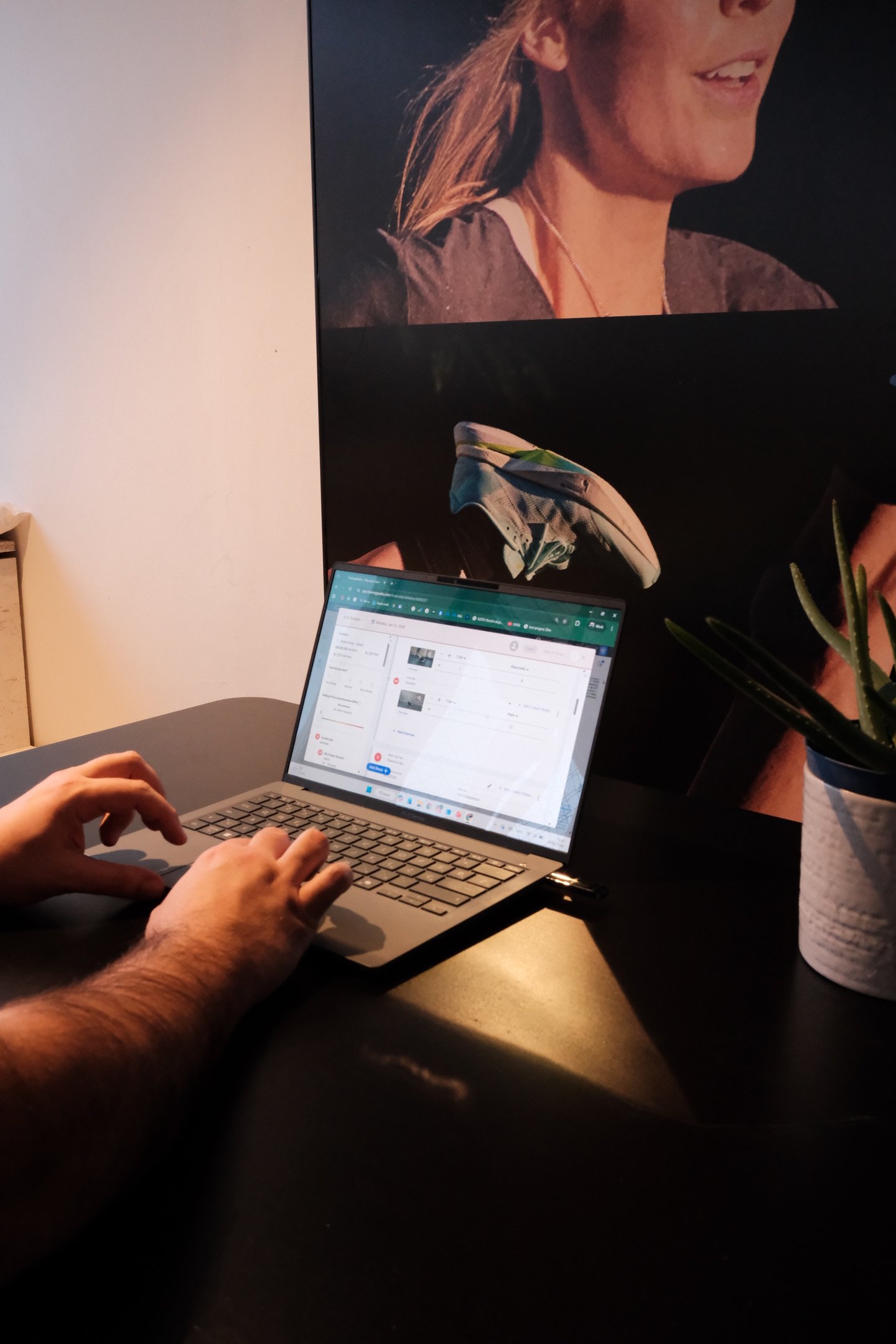 online trening snage trenera nikole mitrovica