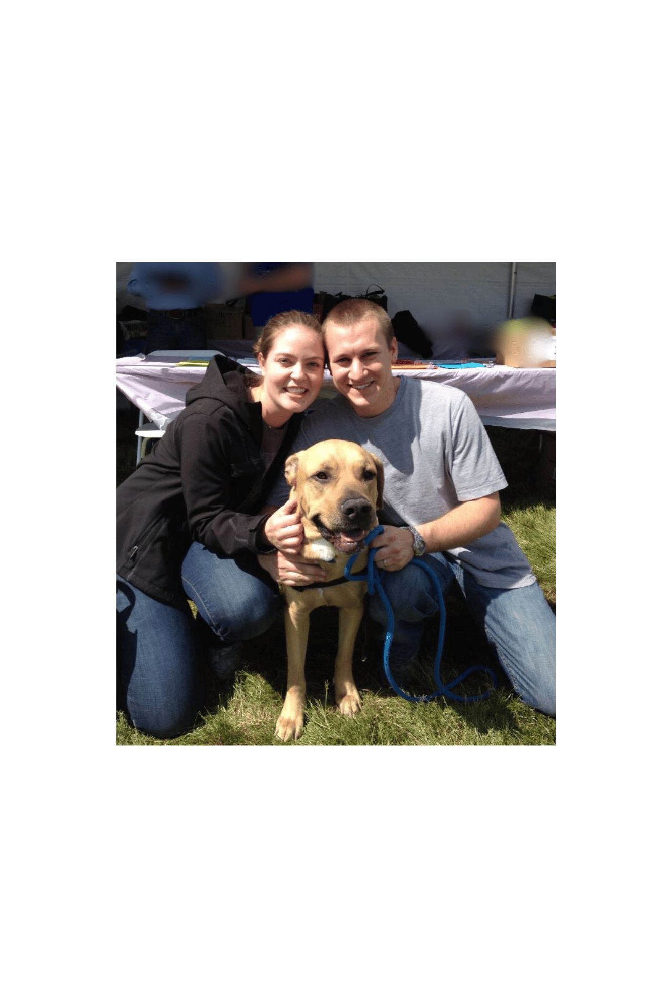 Balou healthy and happy, adoption day!