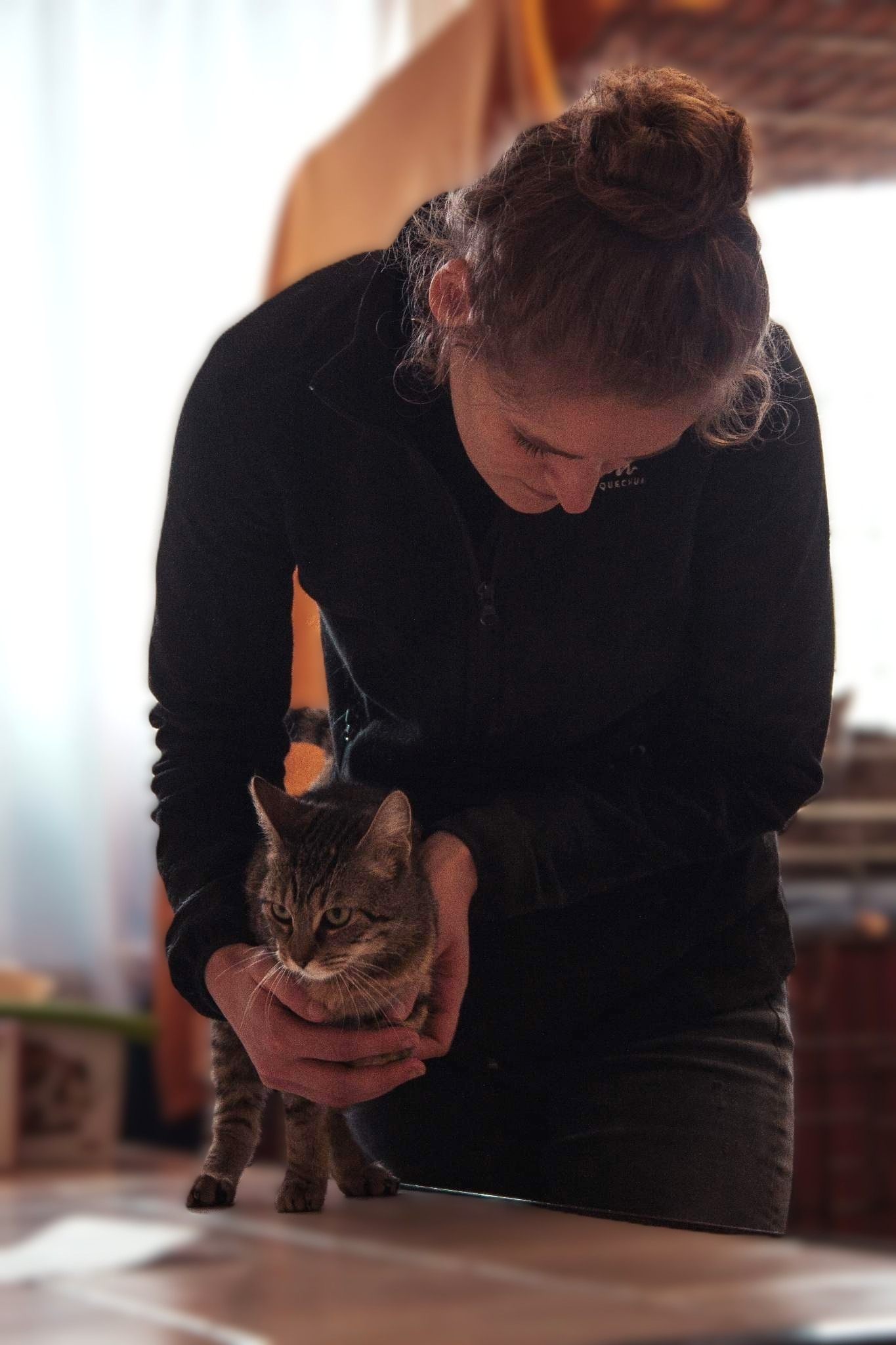 Ostéopathie animale, séance pour un chat