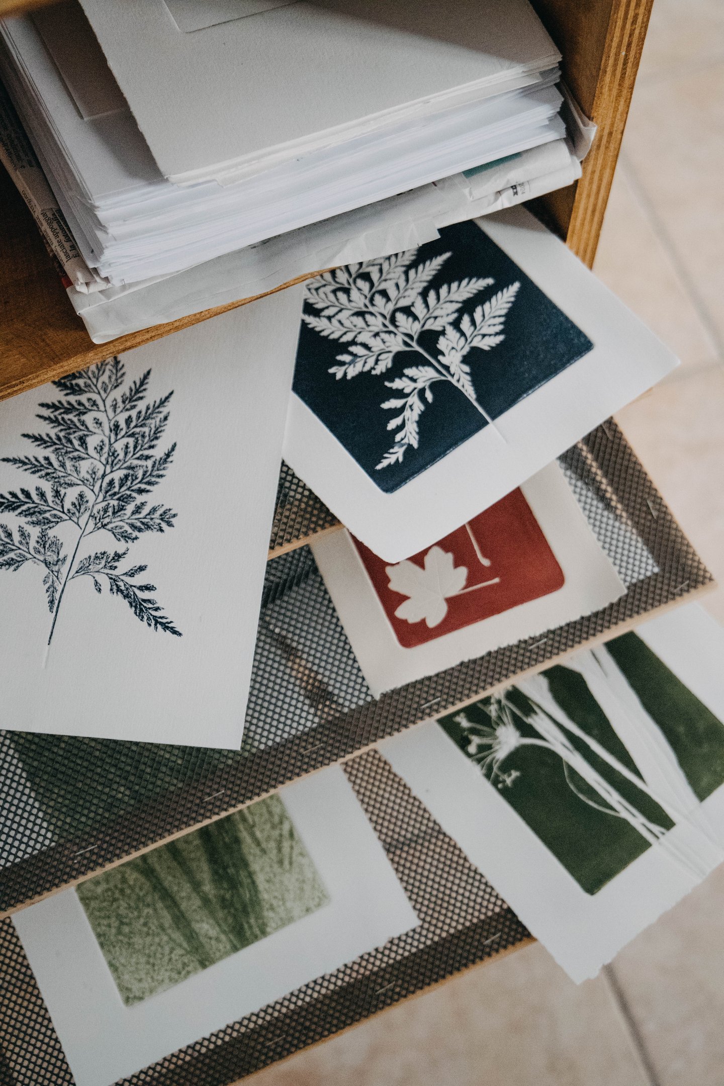 Atelier Officina Cromatica, stampe d'arte botaniche