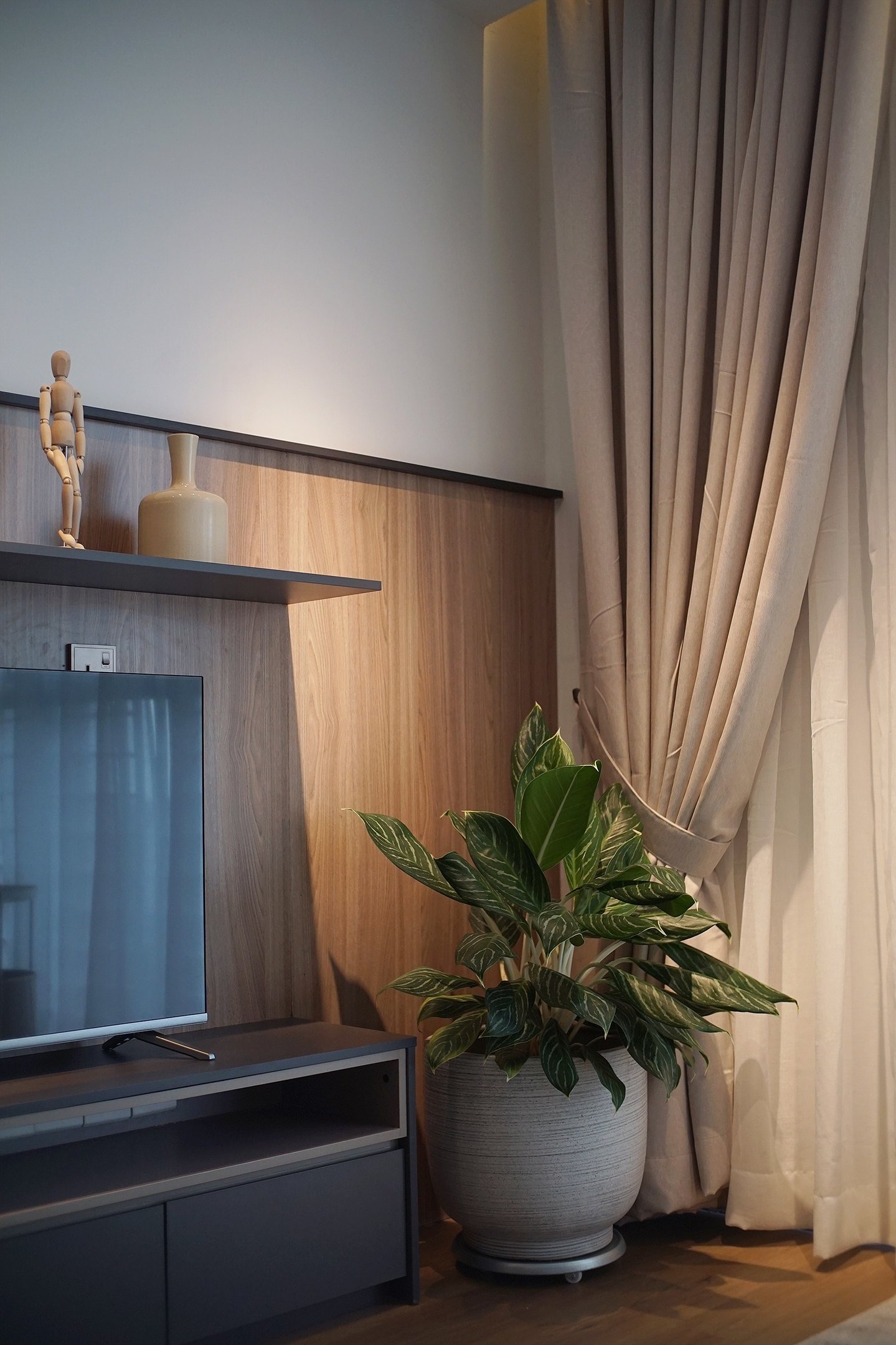 cyberjaya tv with plants