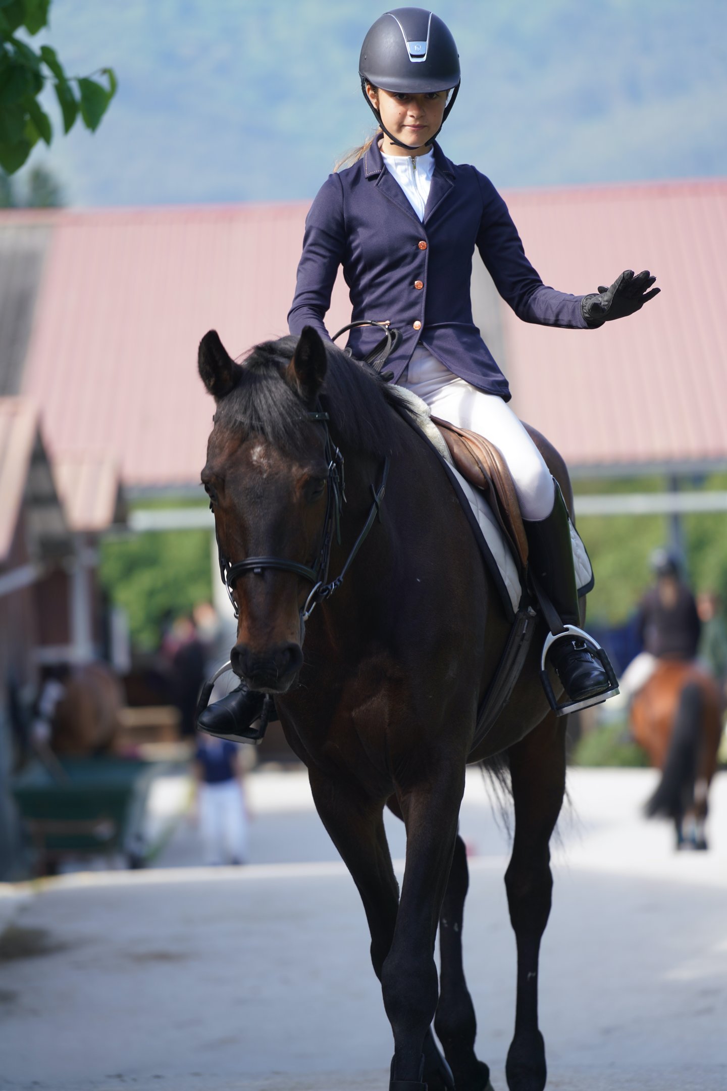 visibilidad de caballos