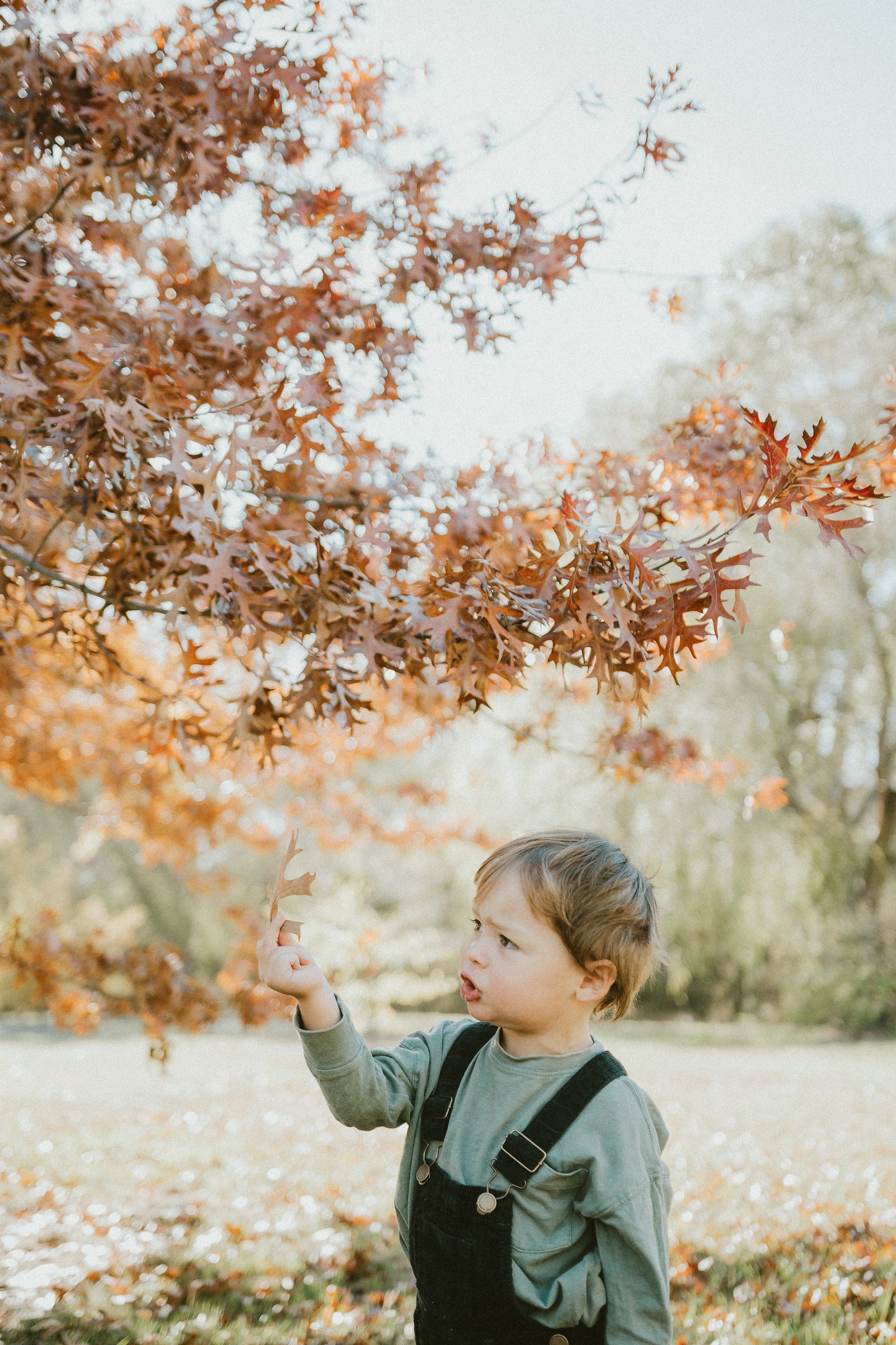 toddler playing with autumn leaves in Littlehampton in a candid photo session