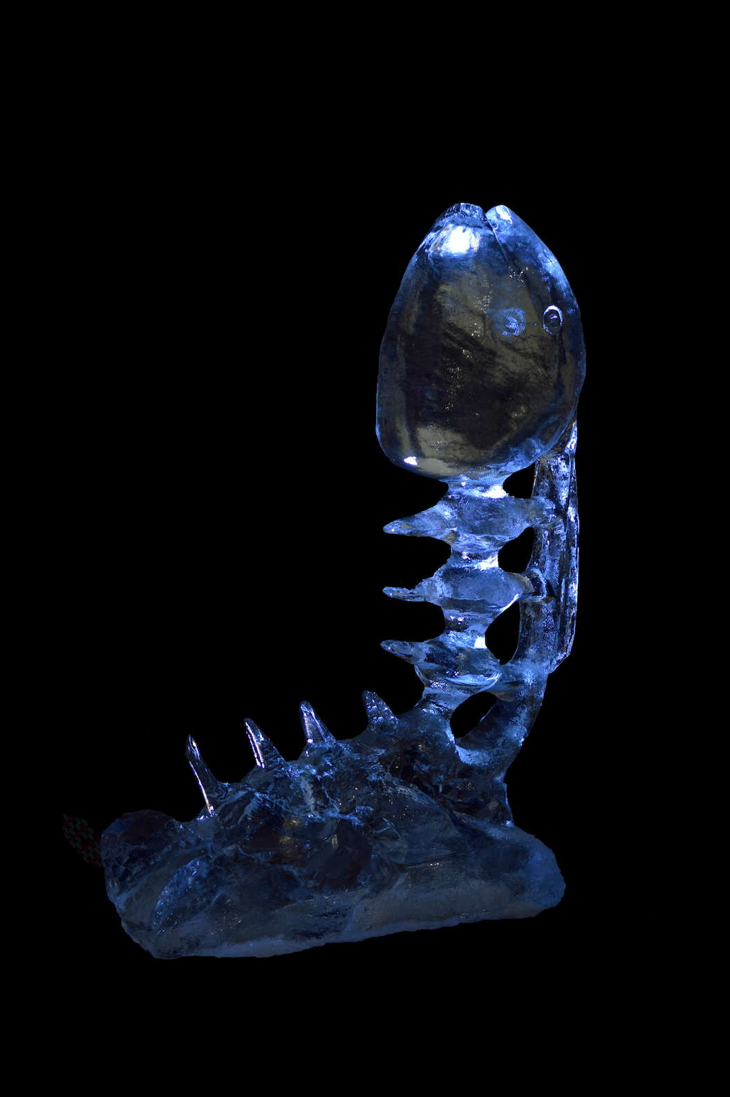 escultura de un pez de hielo 