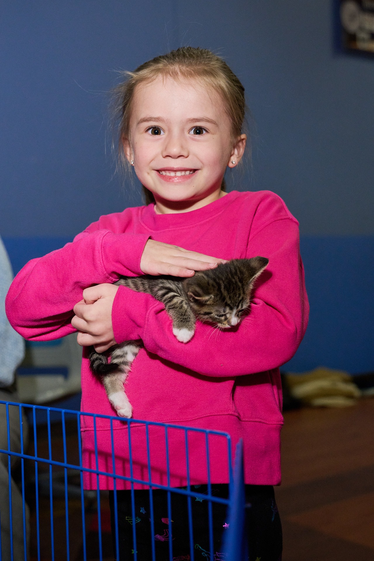 a young girl in pink sweat shirt holding a kitten