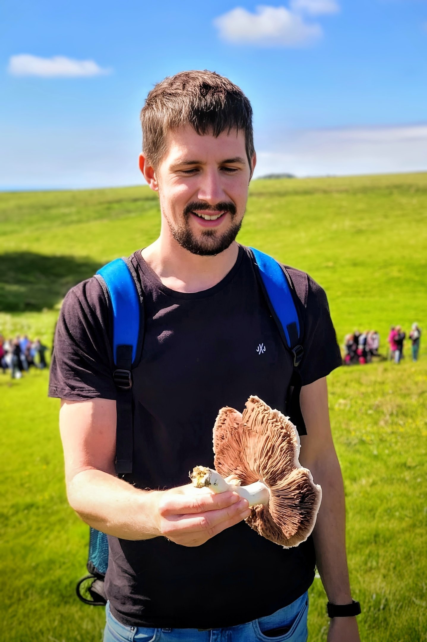 a man holding a mushroom in a field. Horse Mushroom or Agaricus arvensis