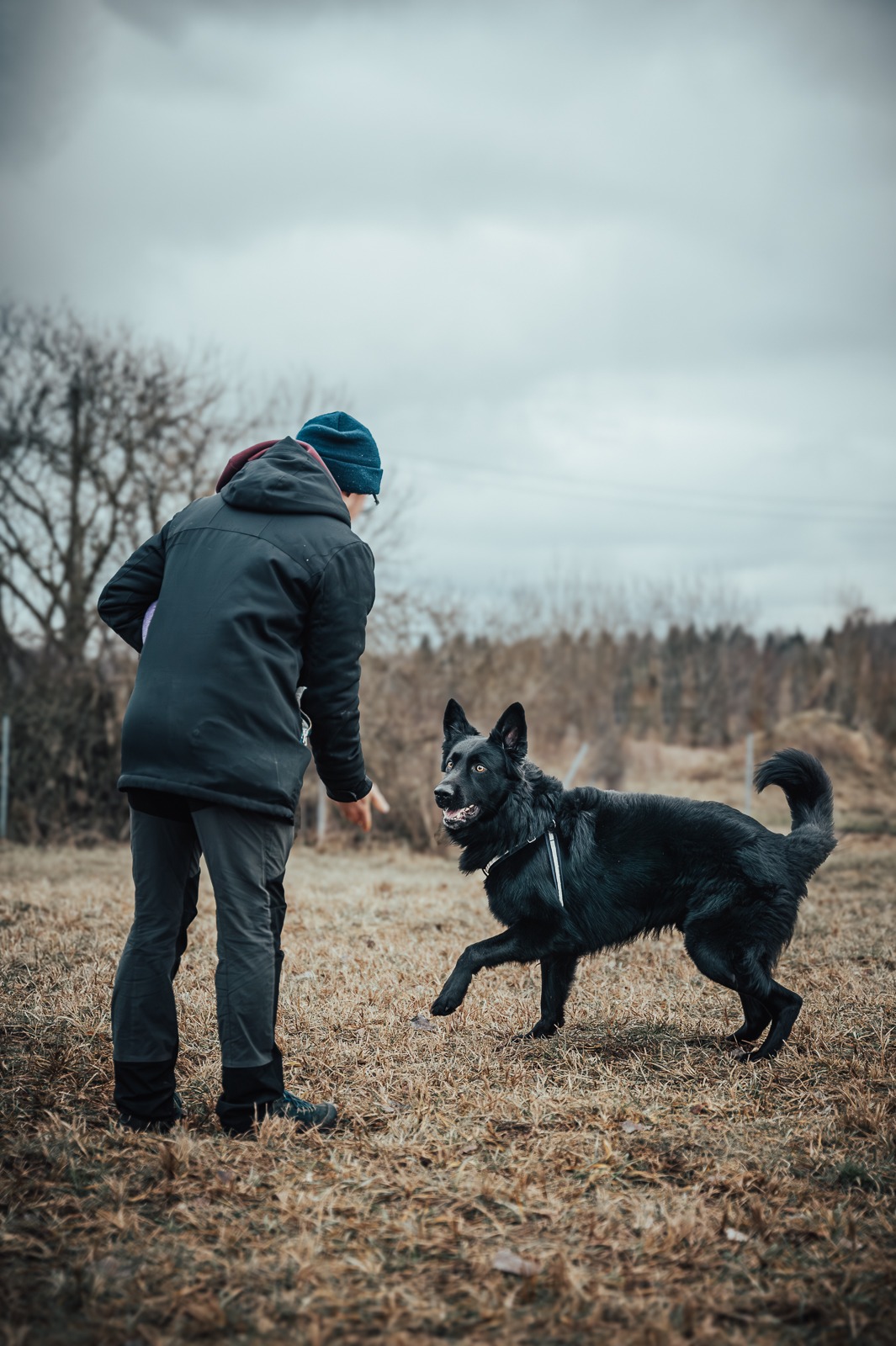 šuo ir dresuotojas dirba