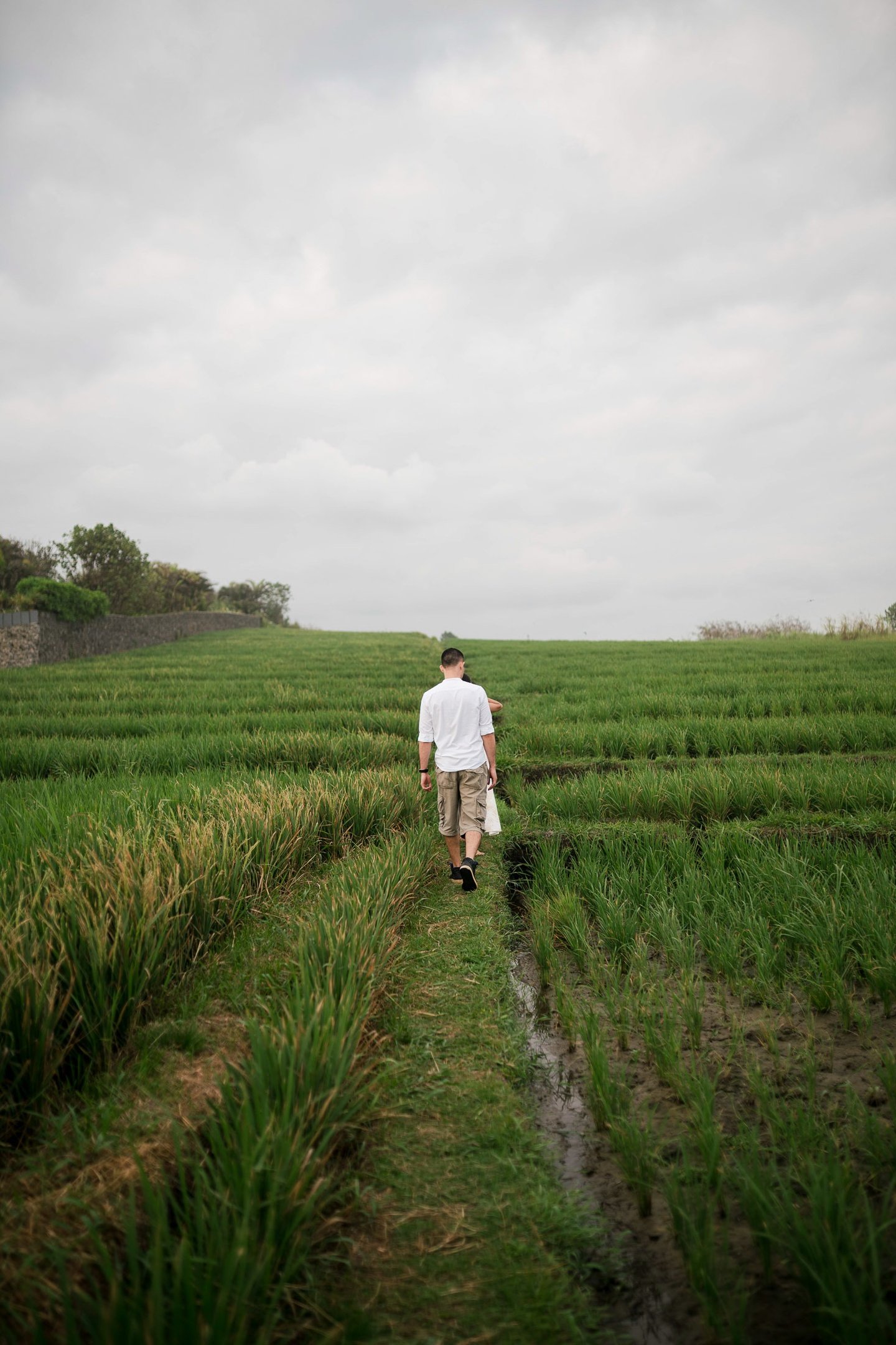 Groom walking through rice field pathway at Waka Gangga Tabanan Bali