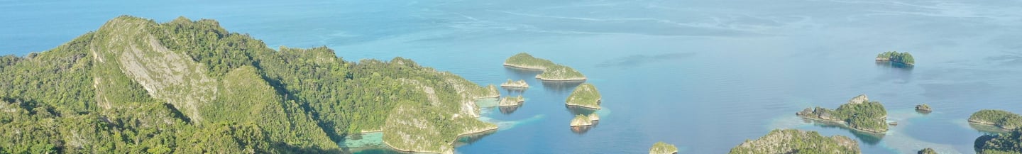 Indonesian origin representing agricultural sourcing and export trade routes