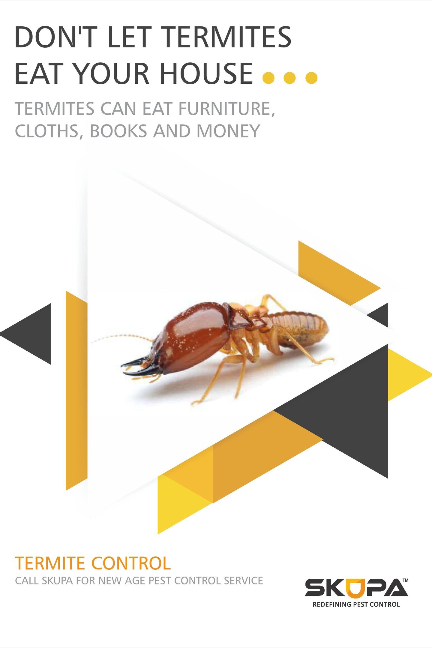 ermite Control Services in Mumbai by Skupa Pest Control – Expert Termite Treatment for Homes and Off