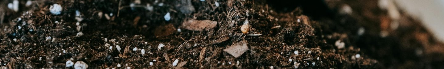 Houseplant soil mix