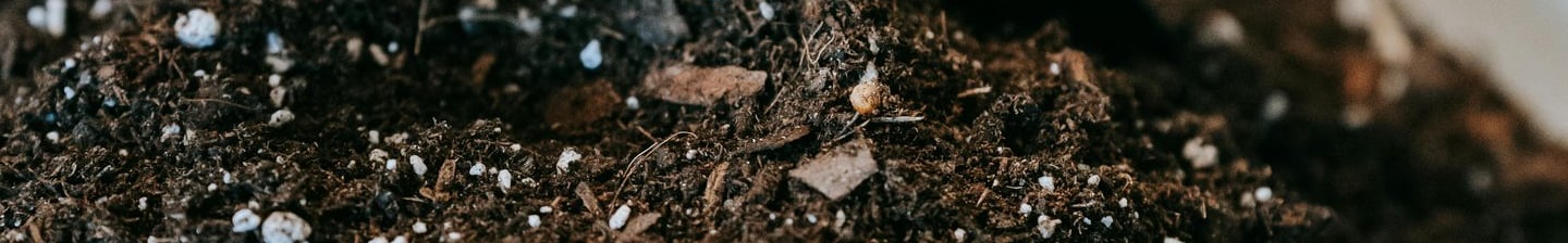Houseplant soil mix