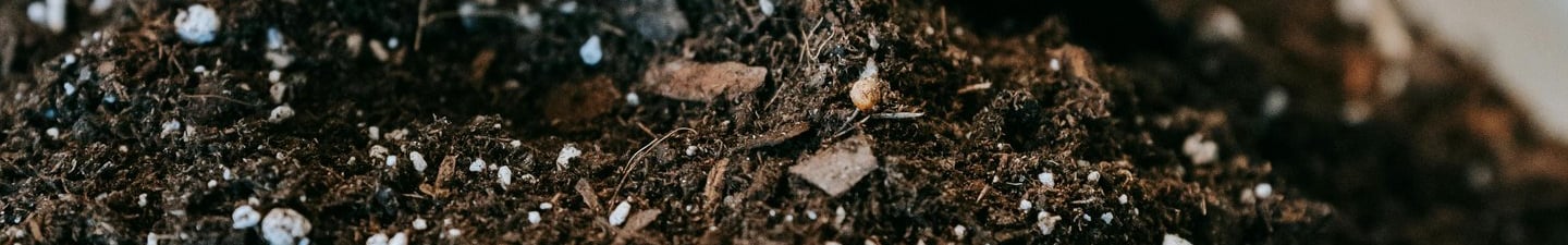 Houseplant soil mix