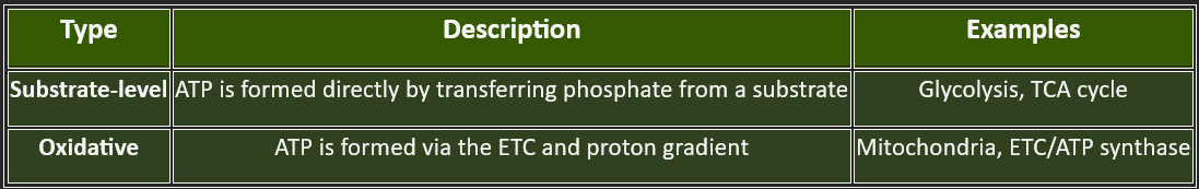 substarte level of phosphorylation