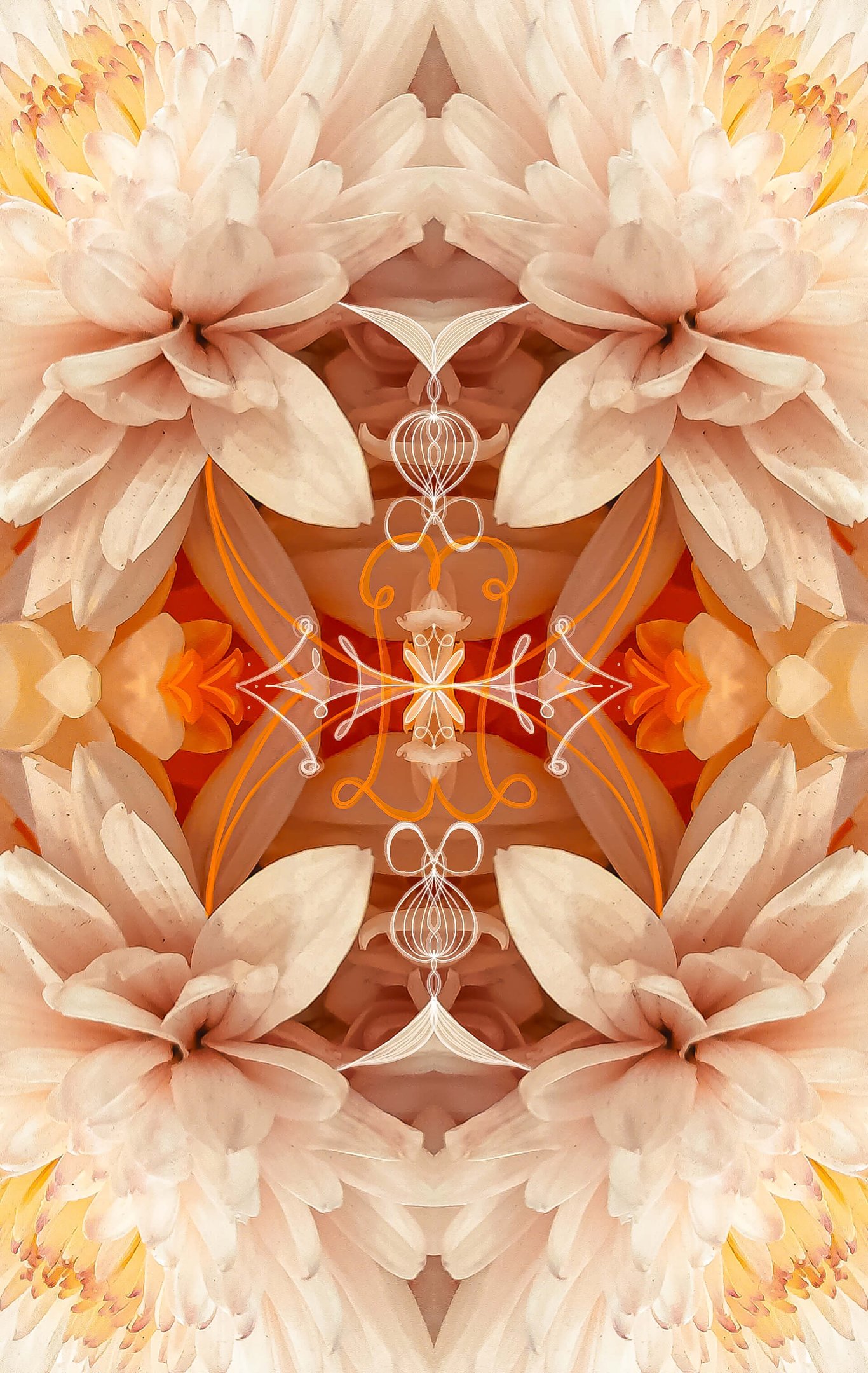 ilustración digital sobre fotografia floral