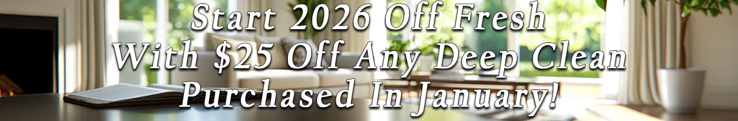 25% off cleaning in traverse city michigan