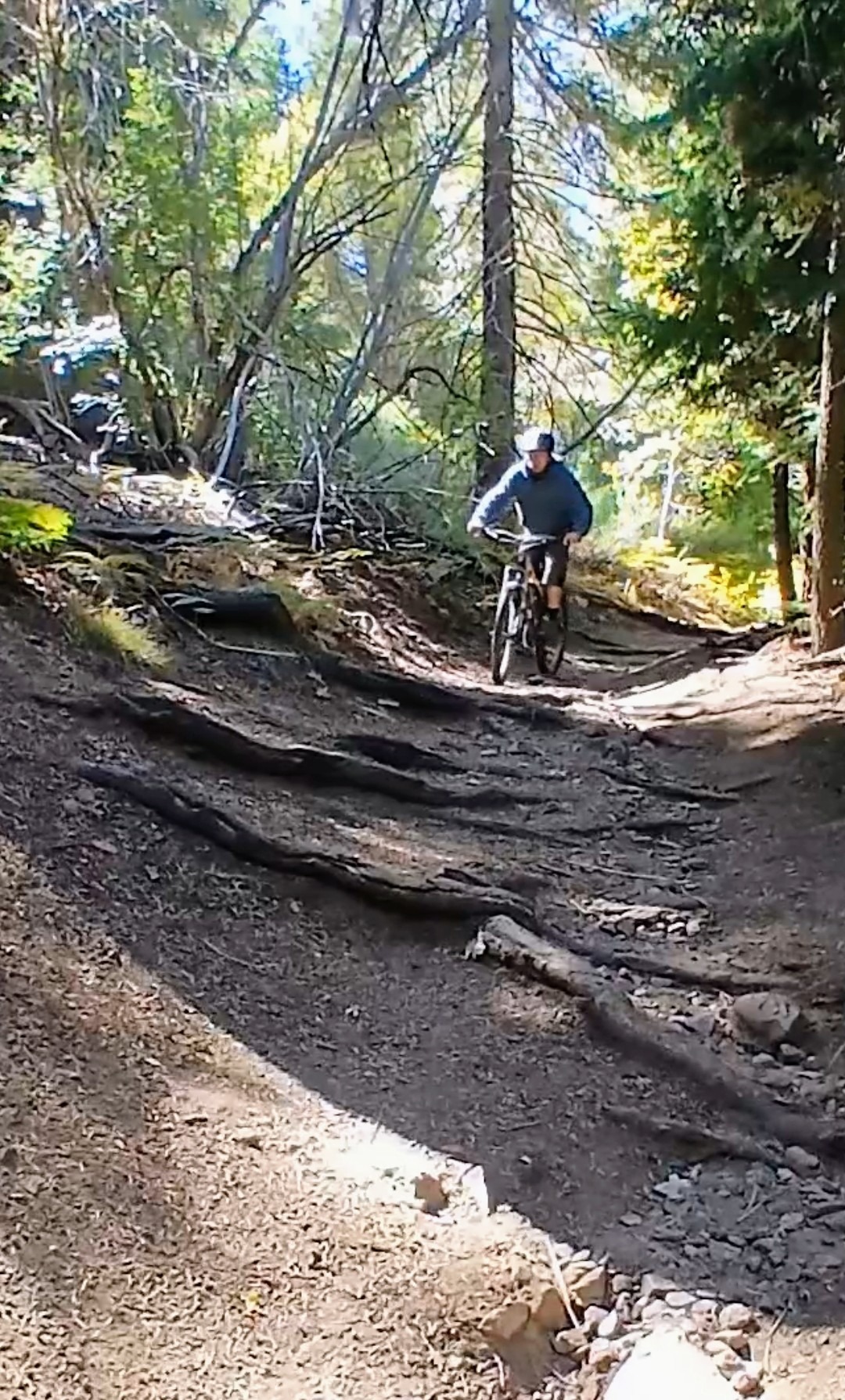 Mountain biker riding of roots