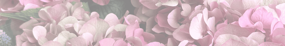 flowers for flower crown hen party activity UK