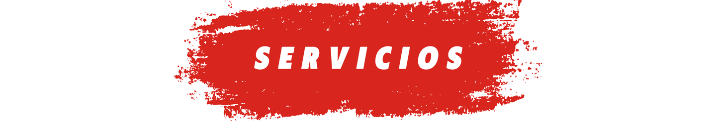 Servicios - Club Los Leones Norte Alcorta