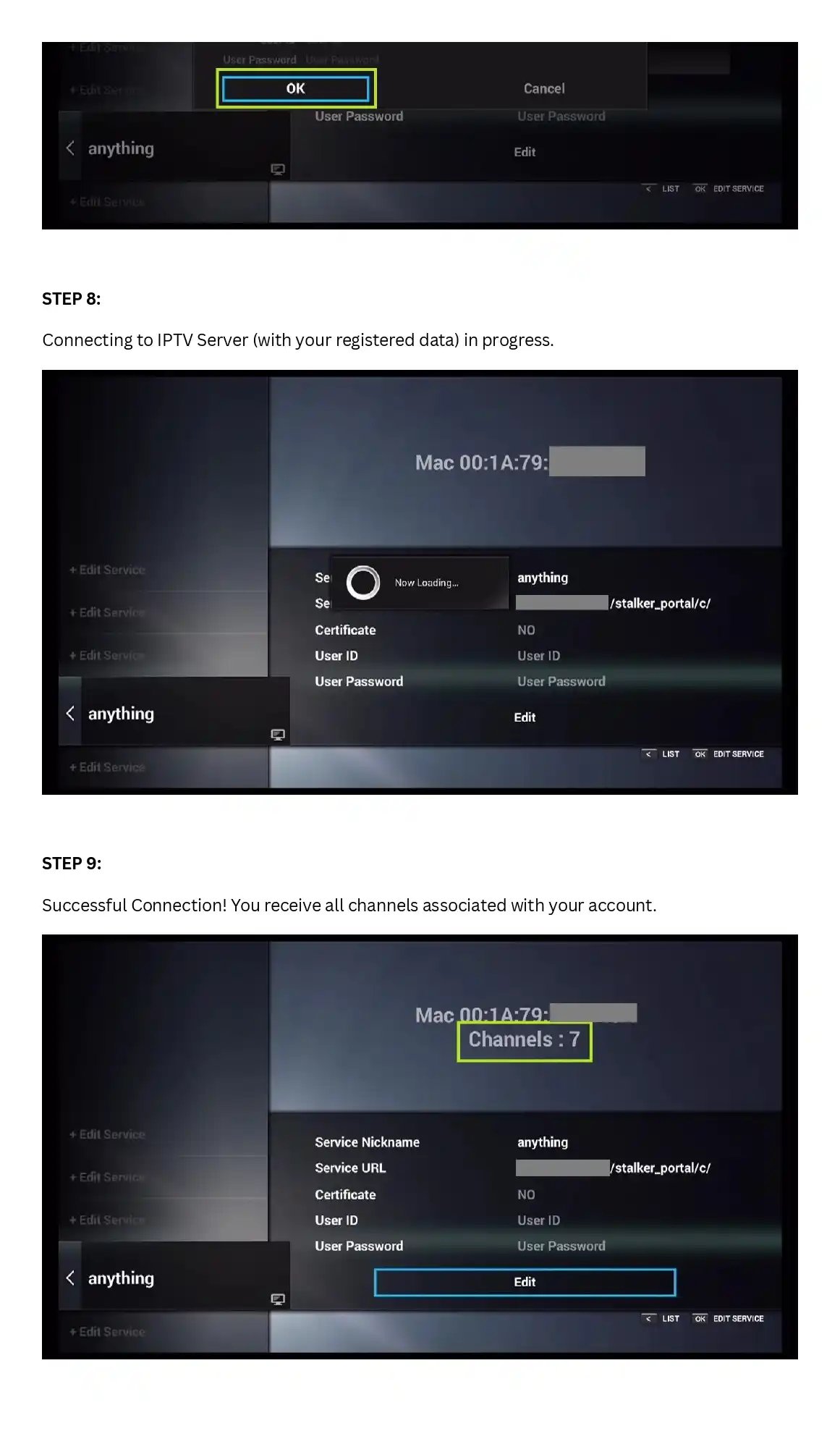 Step-by-step IPTV server connection guide showing login credentials and successful channel activation.