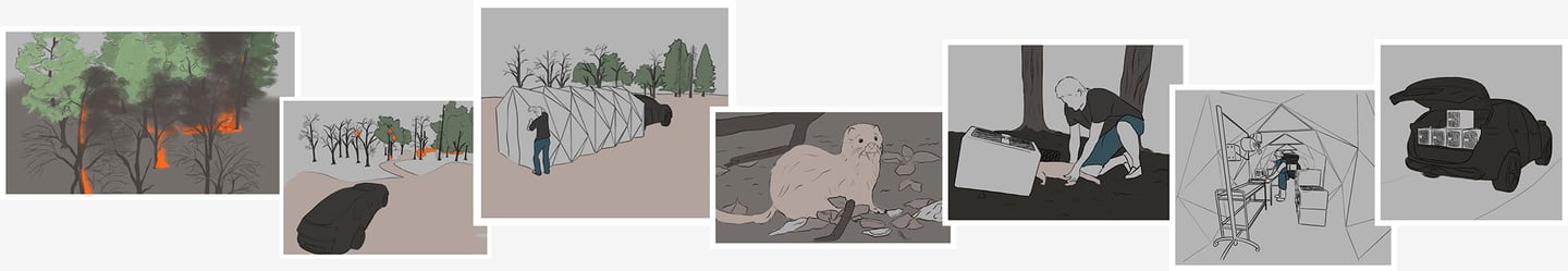 Illustrations showing forest fire response, temporary shelter setup, wildlife rescue, and emergency vehicle loading.