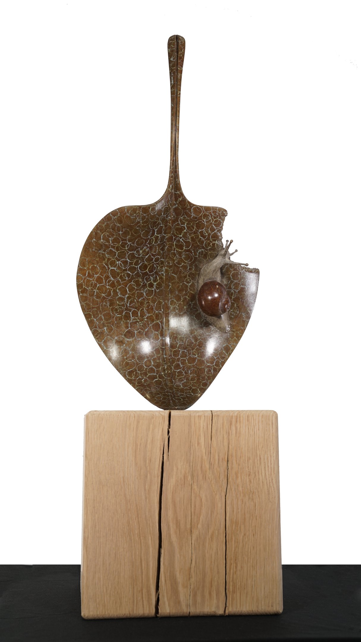 Bronze On Oak Sculpture Of Snail On Hosta Leaf By Mark Richard Hall